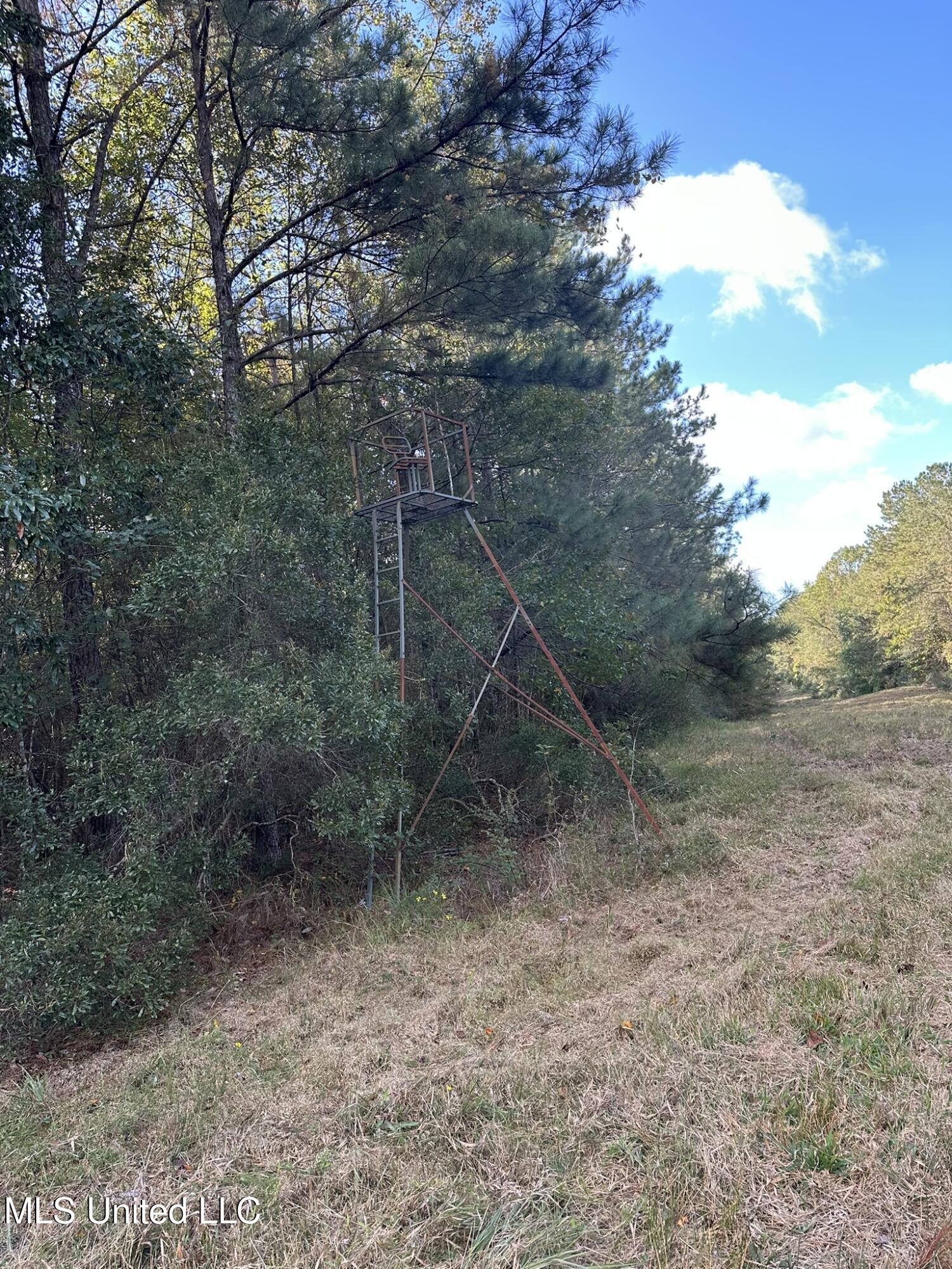 Lee Avenue Property Photo 22