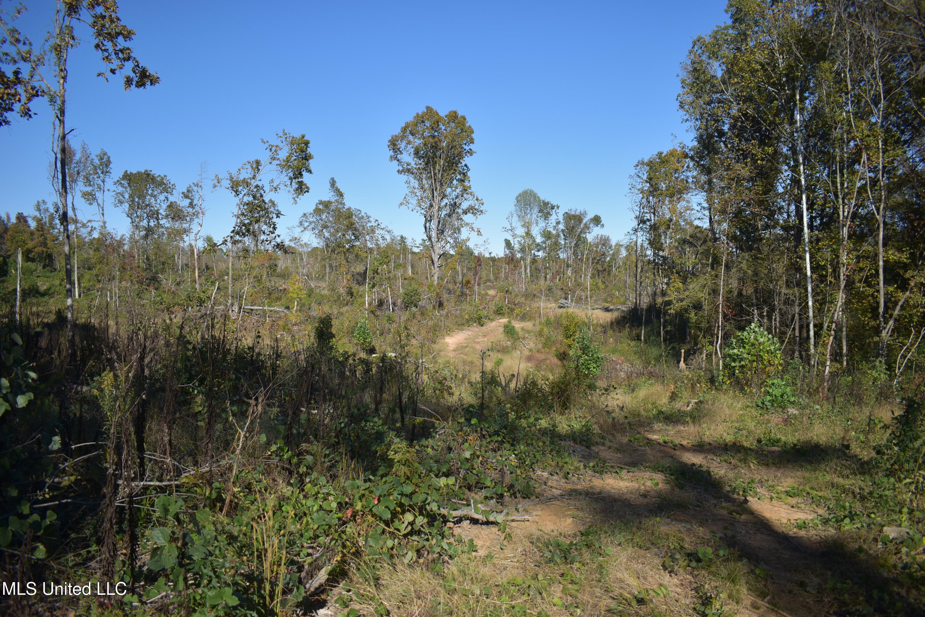 3 Marianna Road Property Photo 15