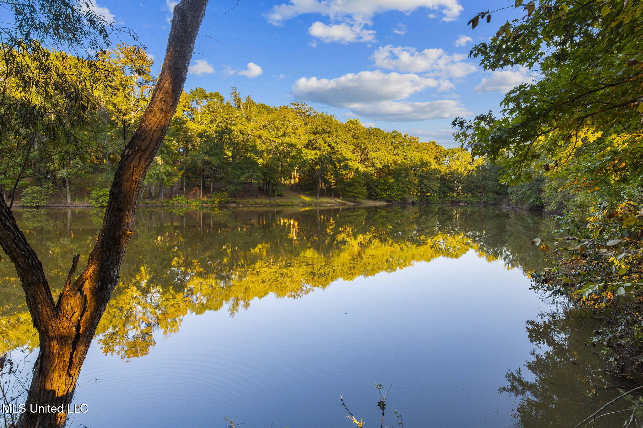 19 Devonshire Way Property Photo 6