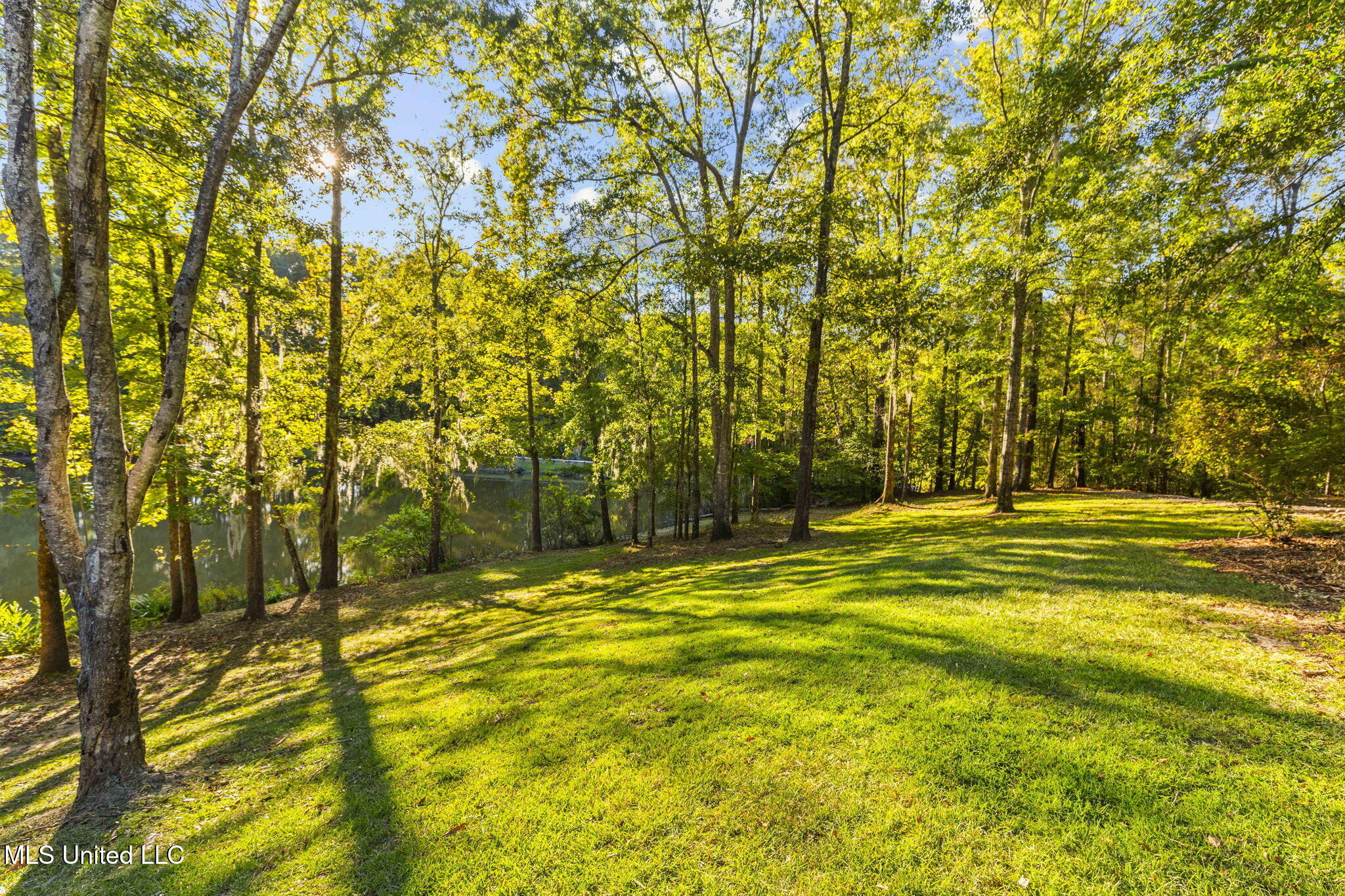 19 Devonshire Way Property Photo 61