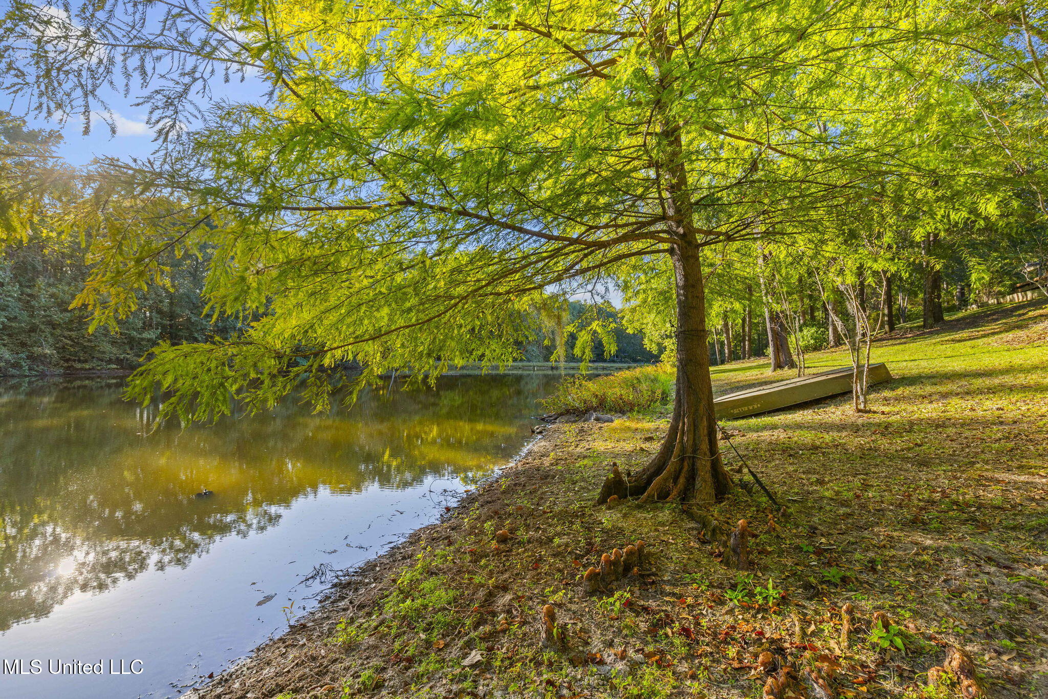 19 Devonshire Way Property Photo 67