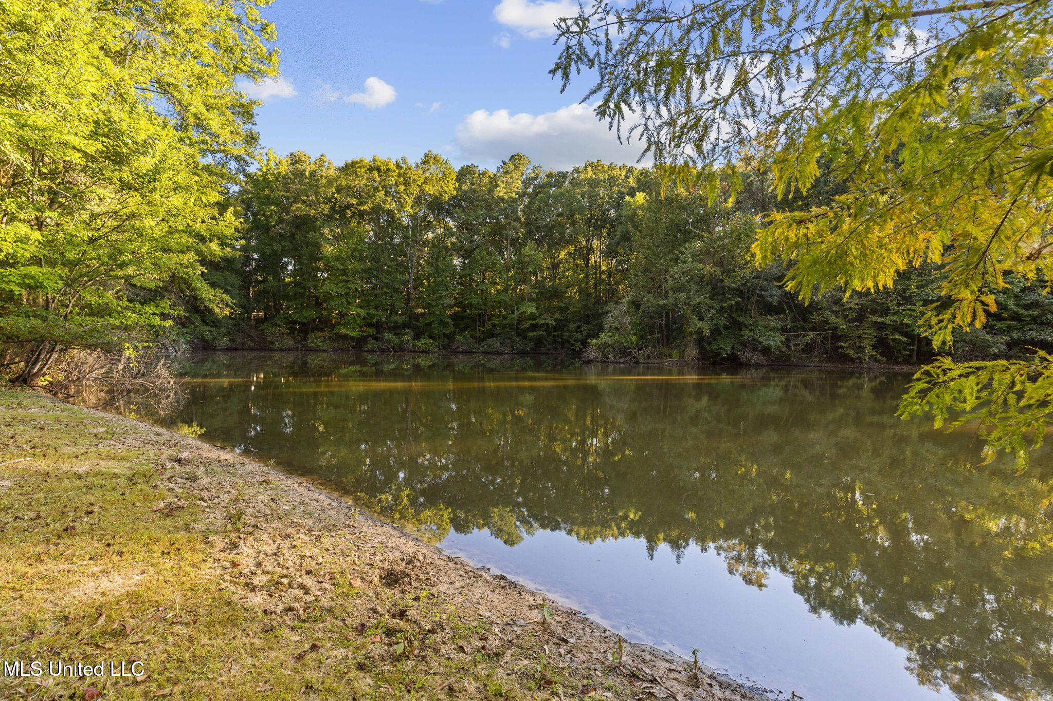 19 Devonshire Way Property Photo 68