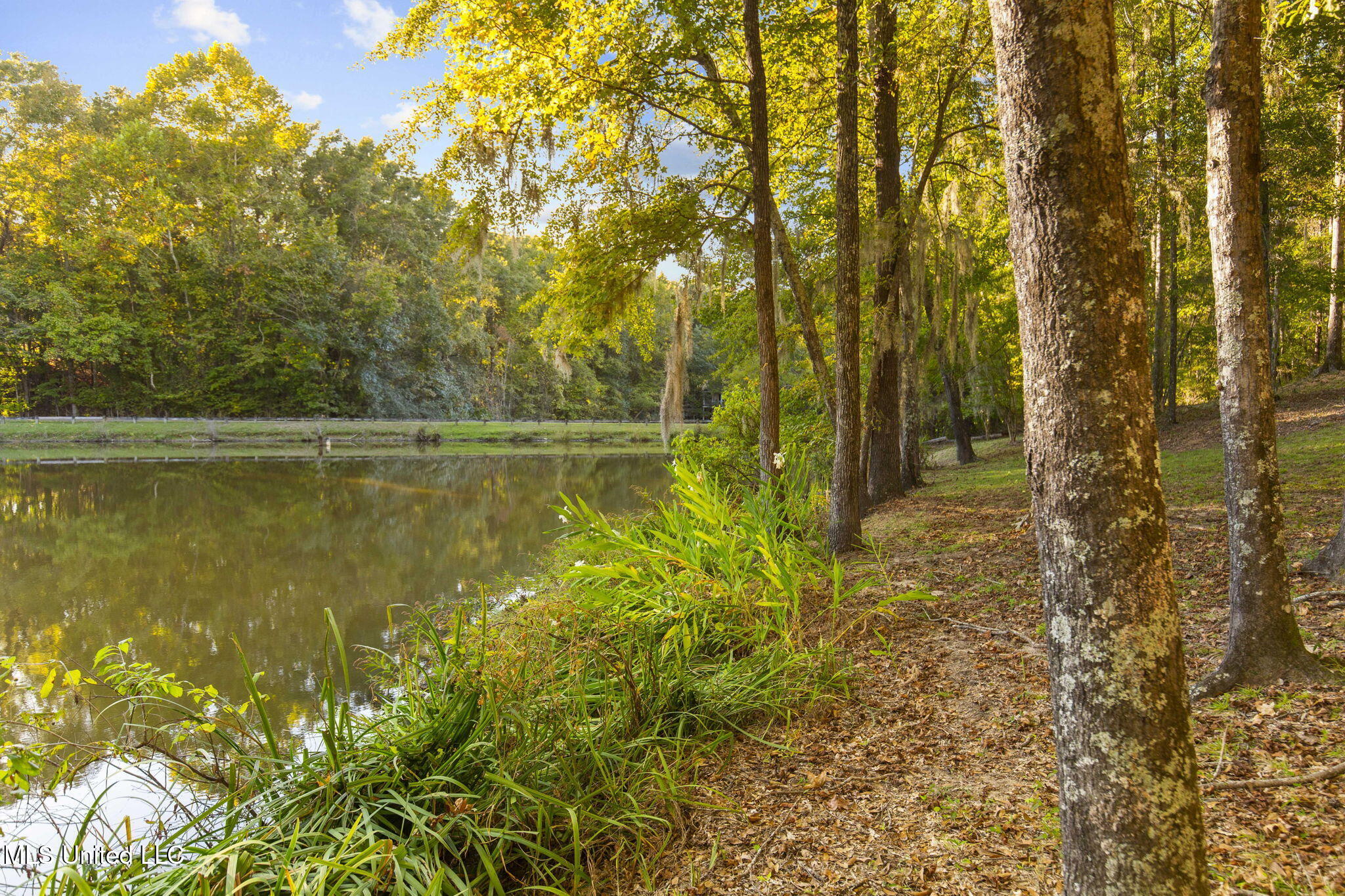 19 Devonshire Way Property Photo 71