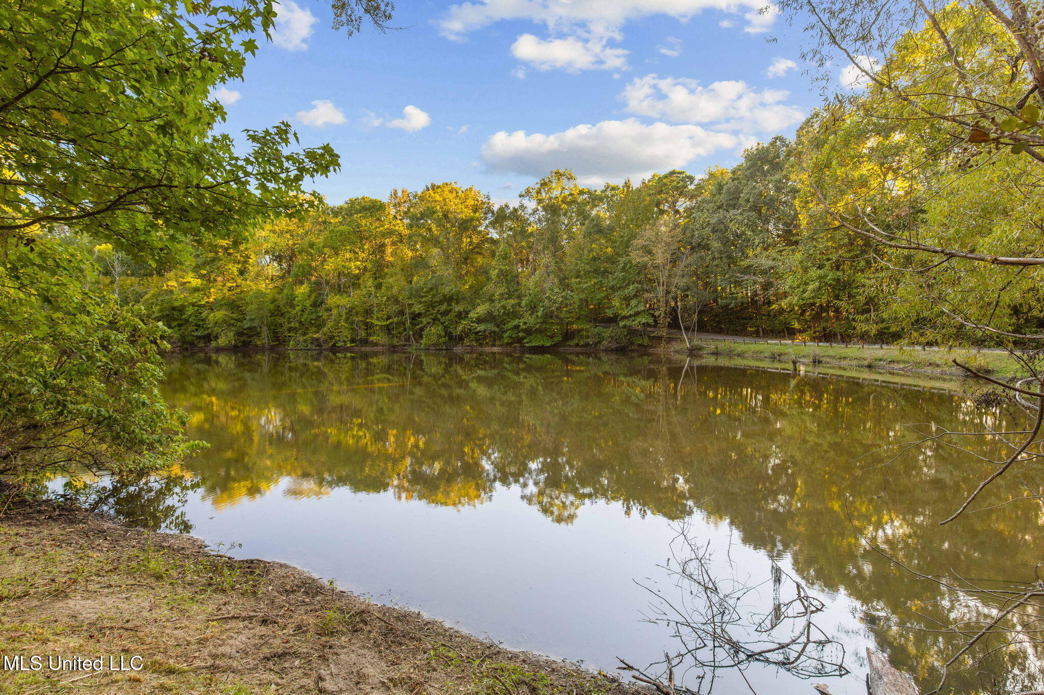 19 Devonshire Way Property Photo 73