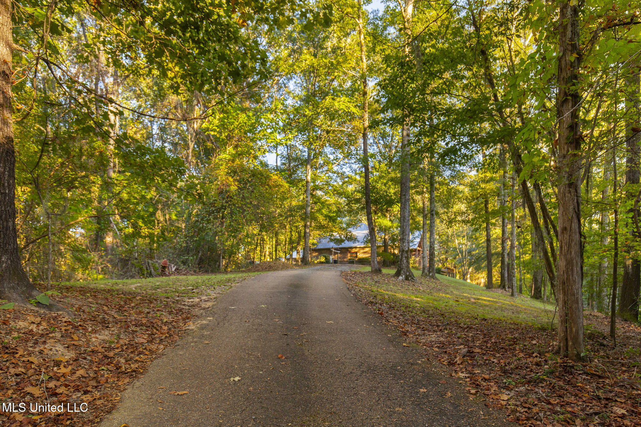 19 Devonshire Way Property Photo 76