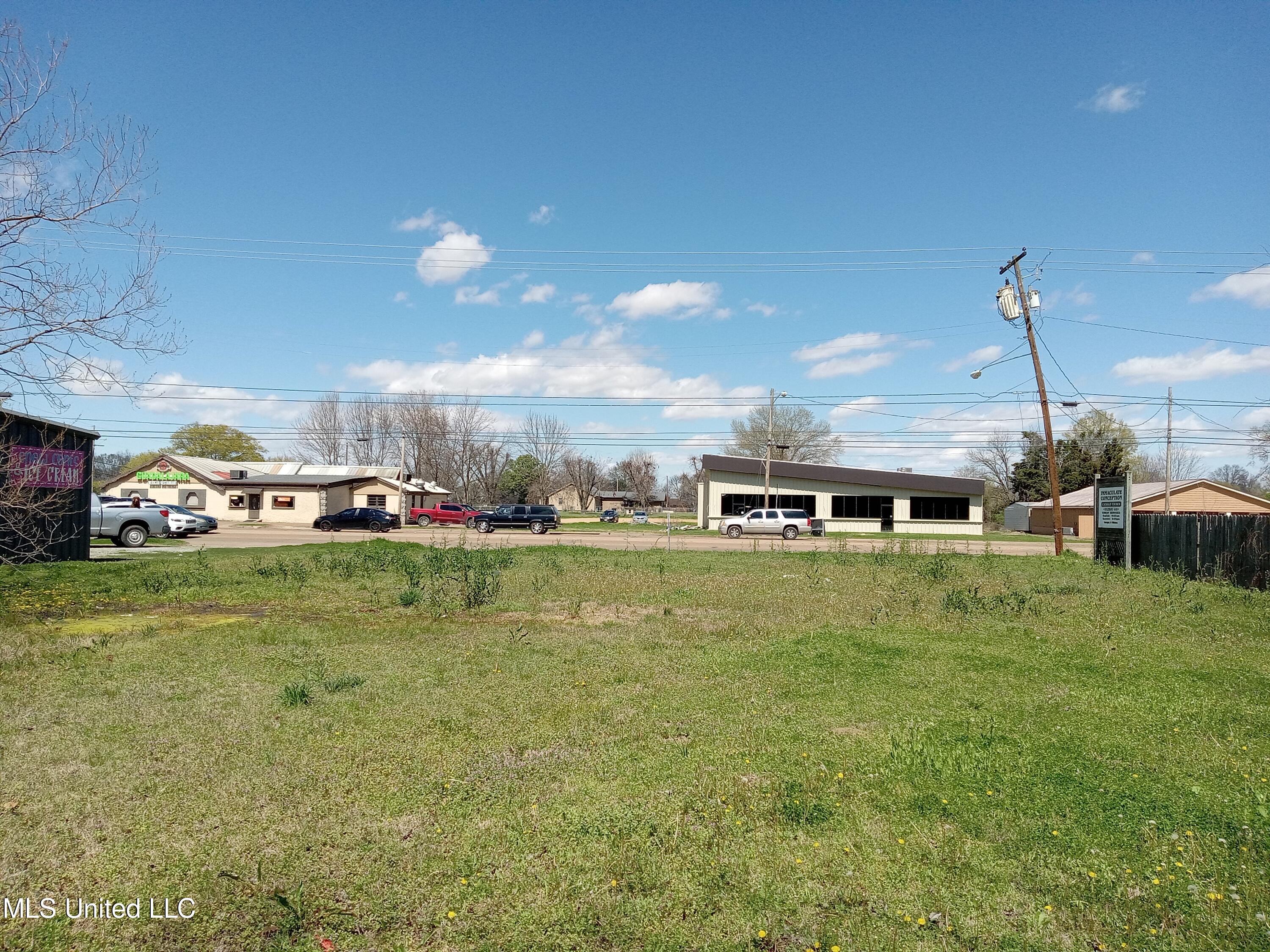 417 W Highway 82 Property Photo 1