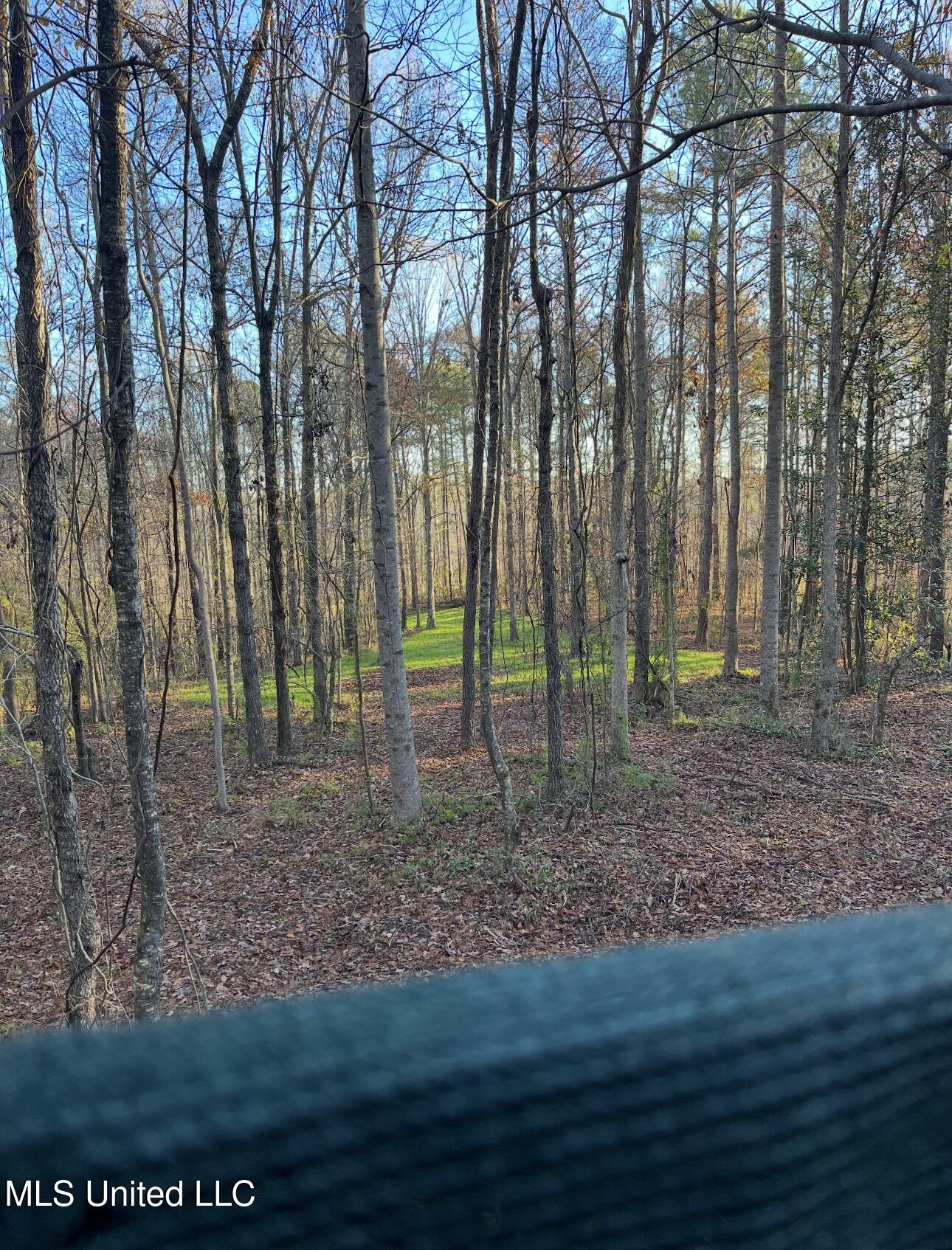 0 E Whitworth Street Property Photo 1