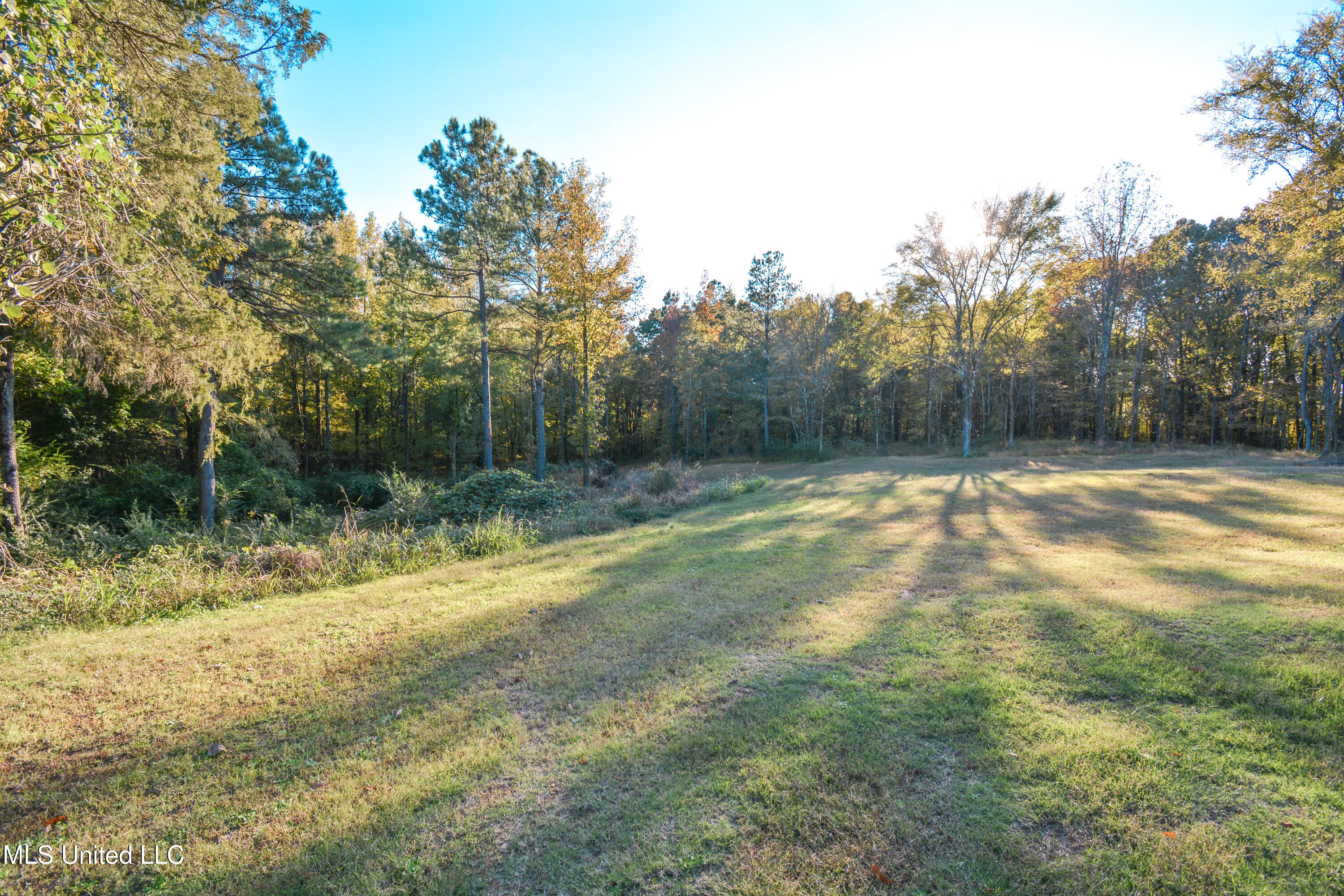 1459 French Road Property Photo 6