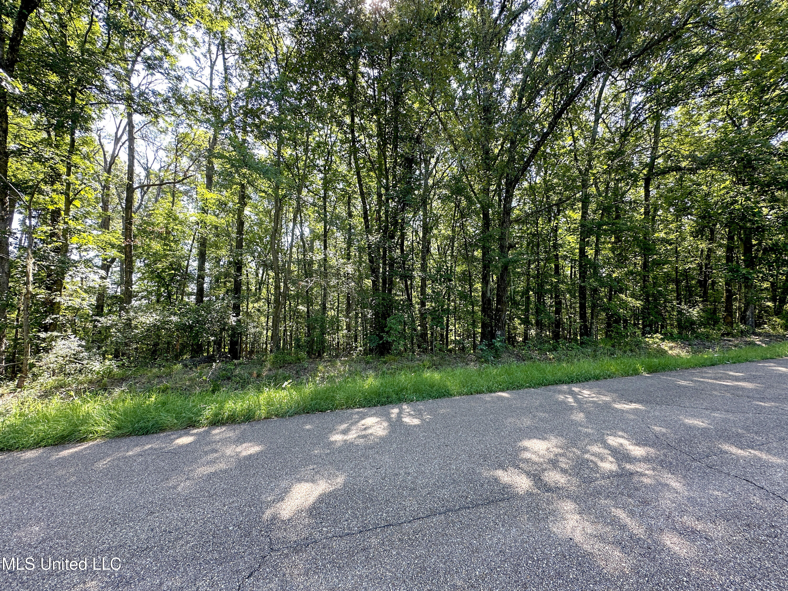 0 Lakeridge Lane Property Photo 1
