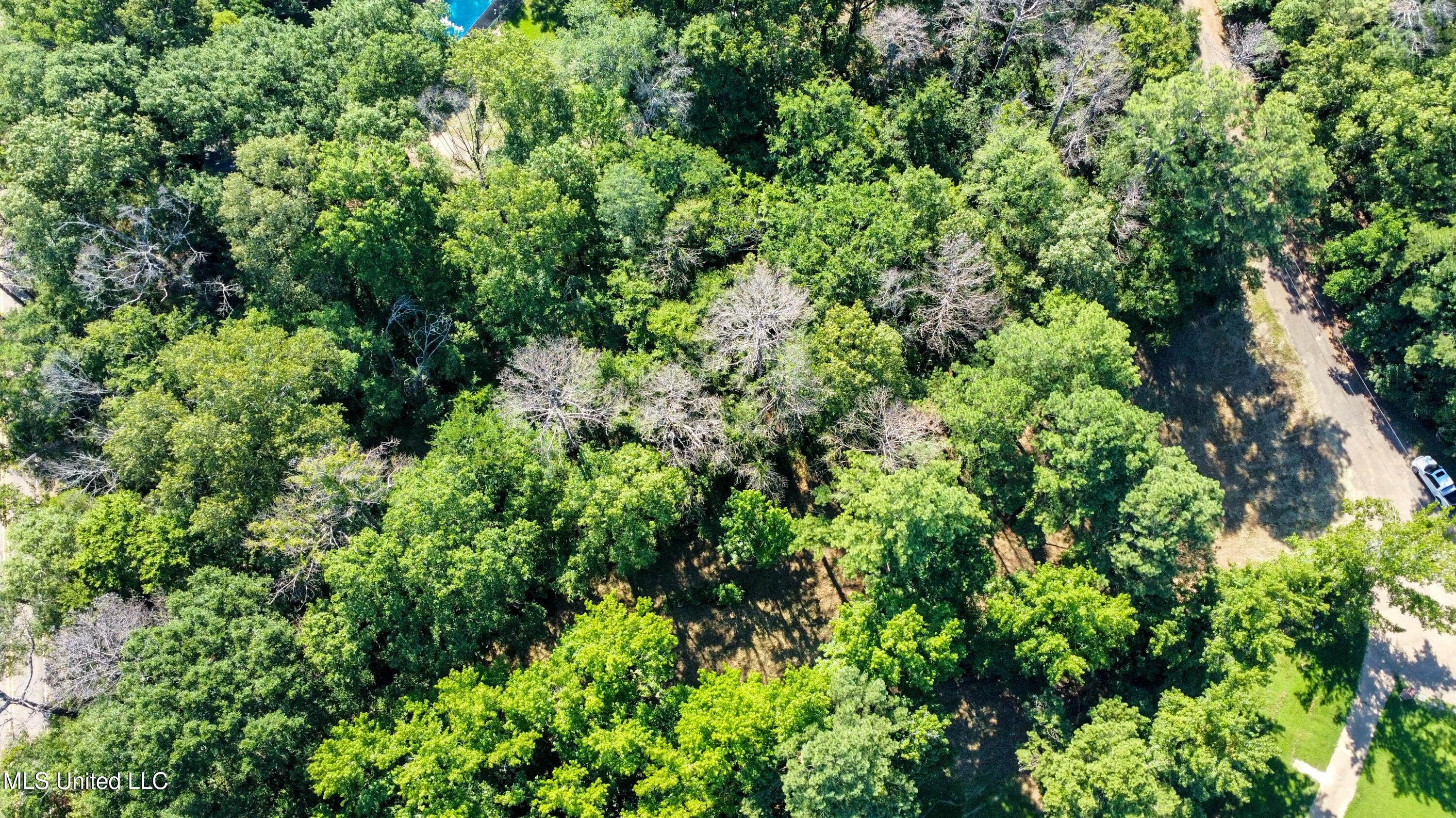0 Lakeridge Cove Property Photo 3