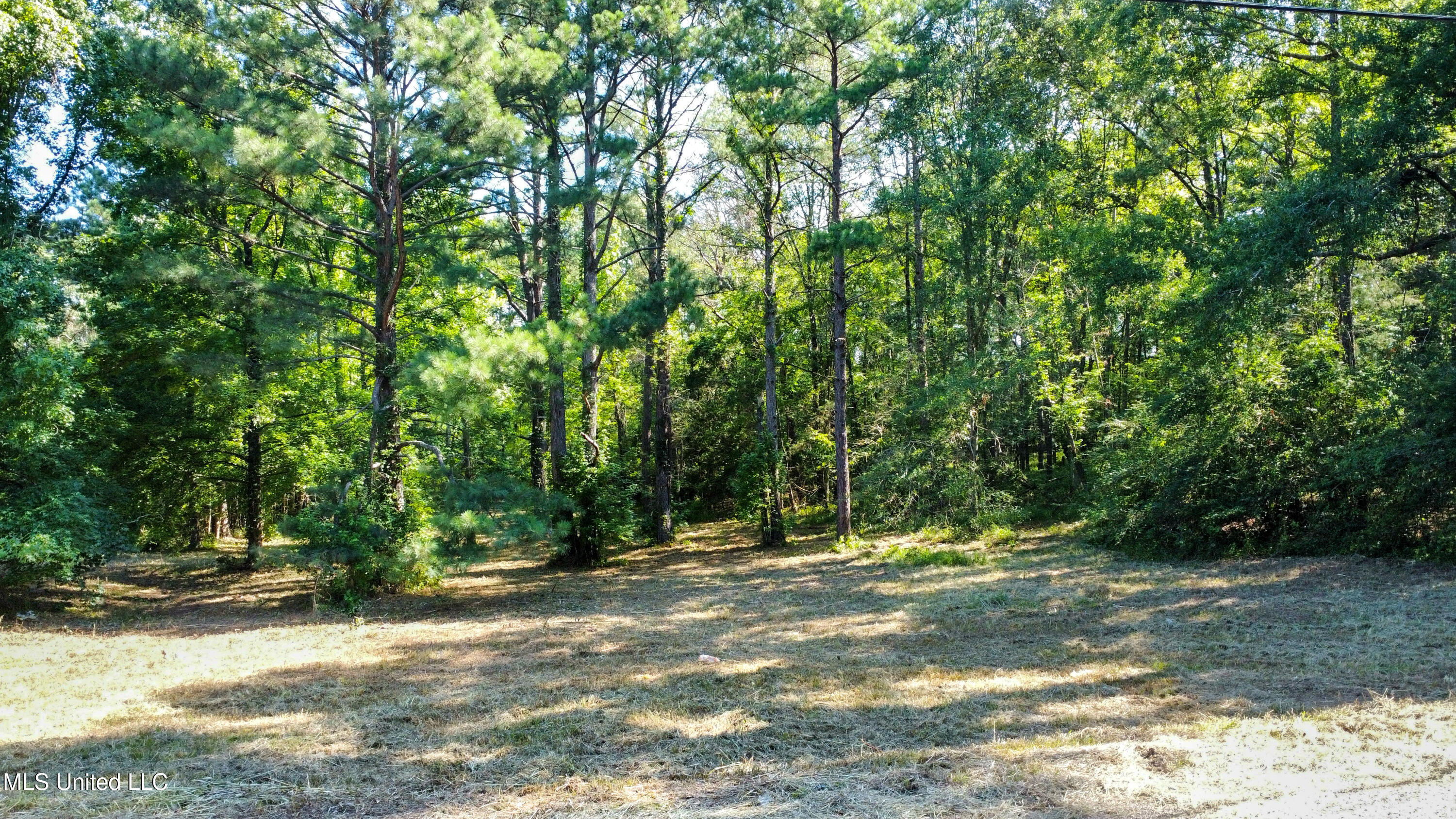 0 Lakeridge Cove Property Photo 4