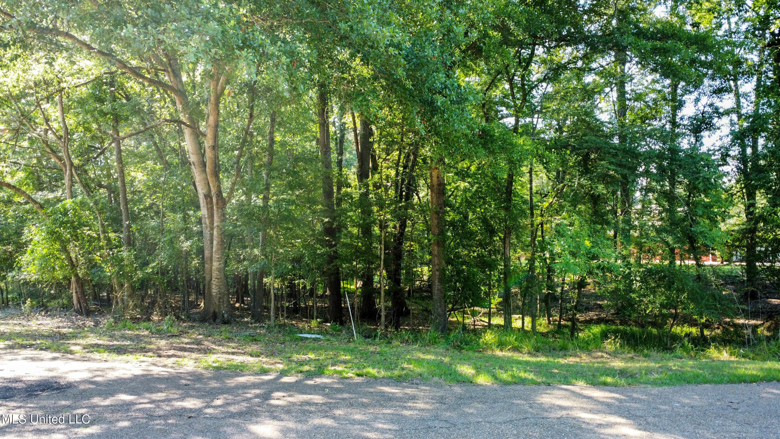 0 Lakeridge Cove Property Photo 5