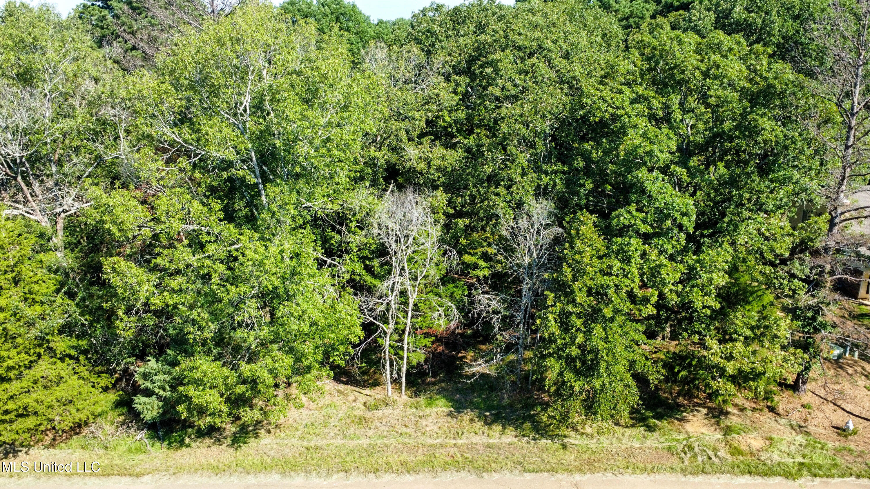 0 Mallard Way Property Photo 2