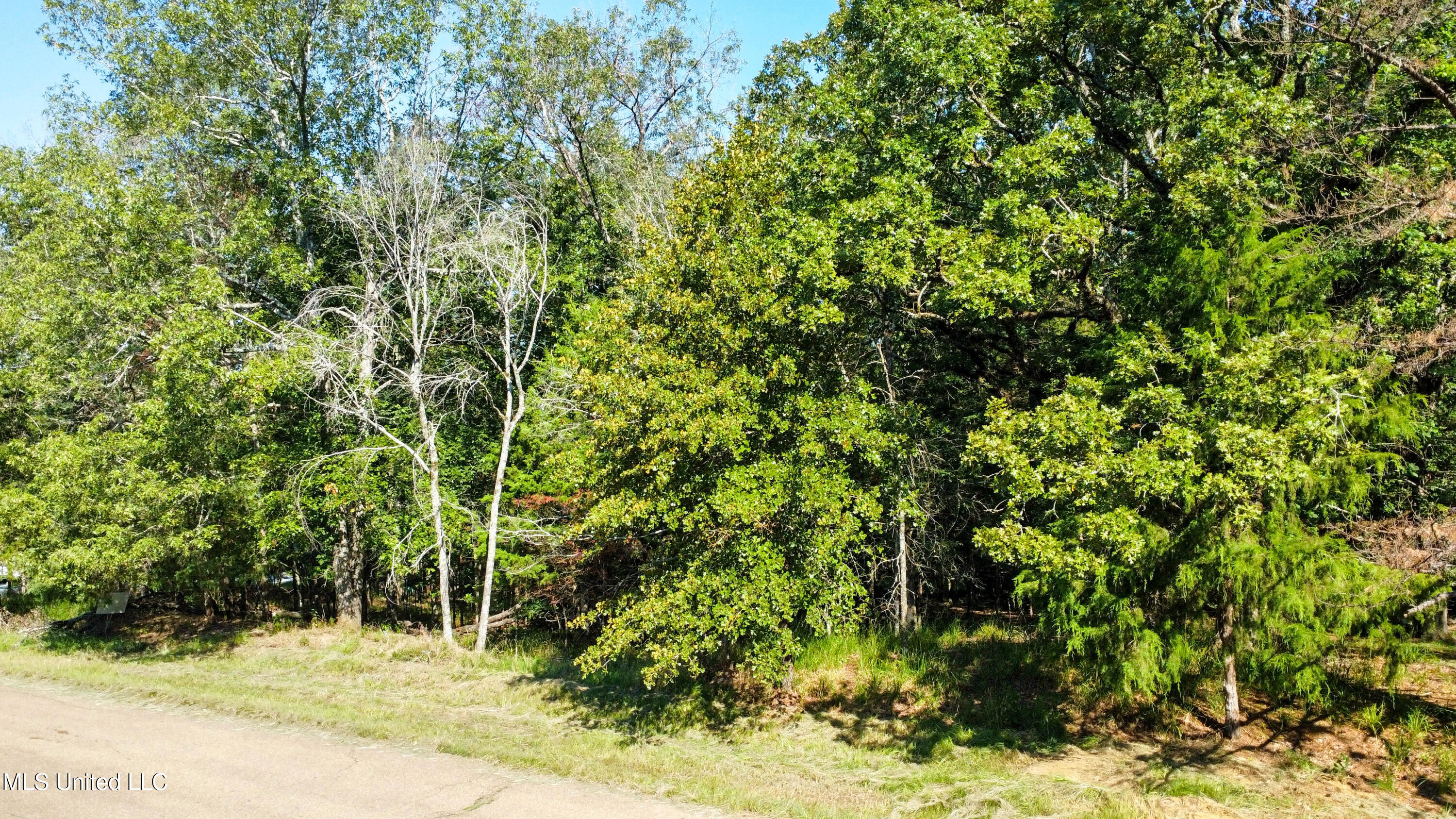 0 Mallard Way Property Photo 3