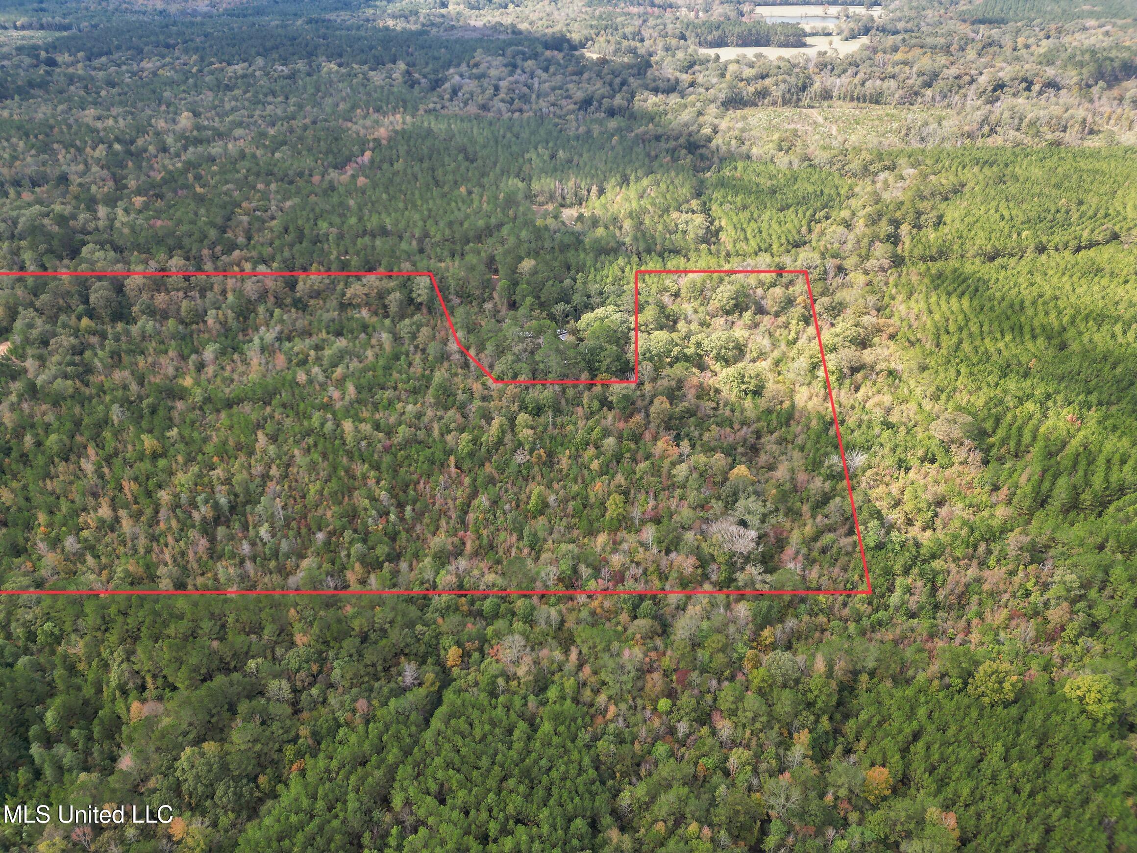 222 Byrd Road Property Photo 4