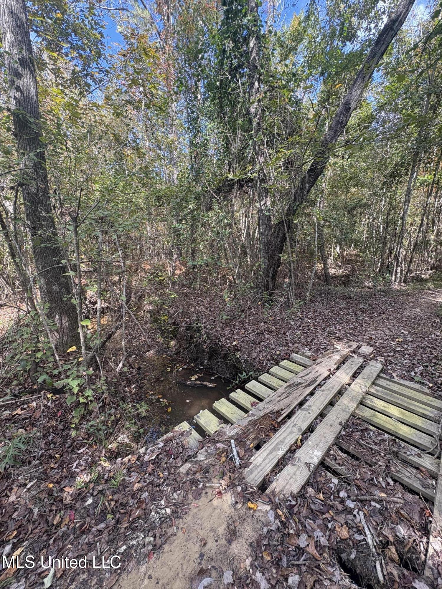 222 Byrd Road Property Photo 15
