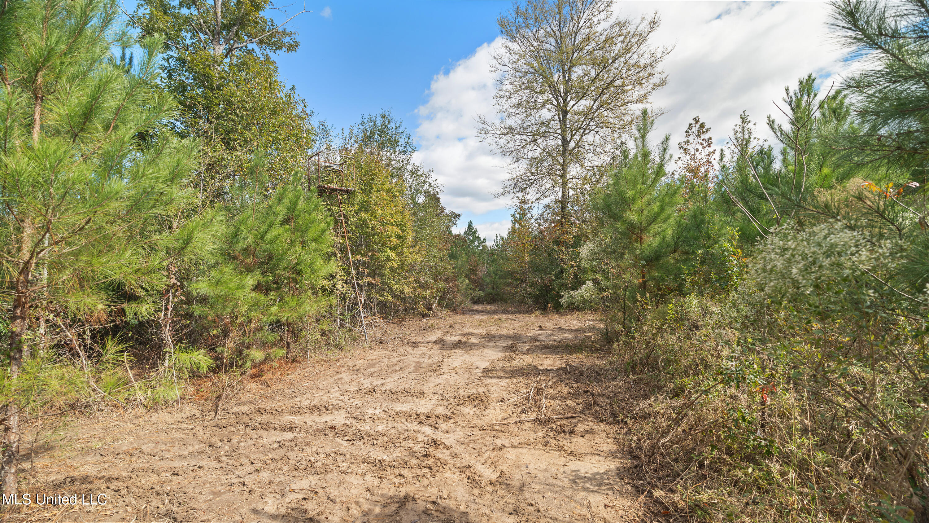 222 Byrd Road Property Photo 16