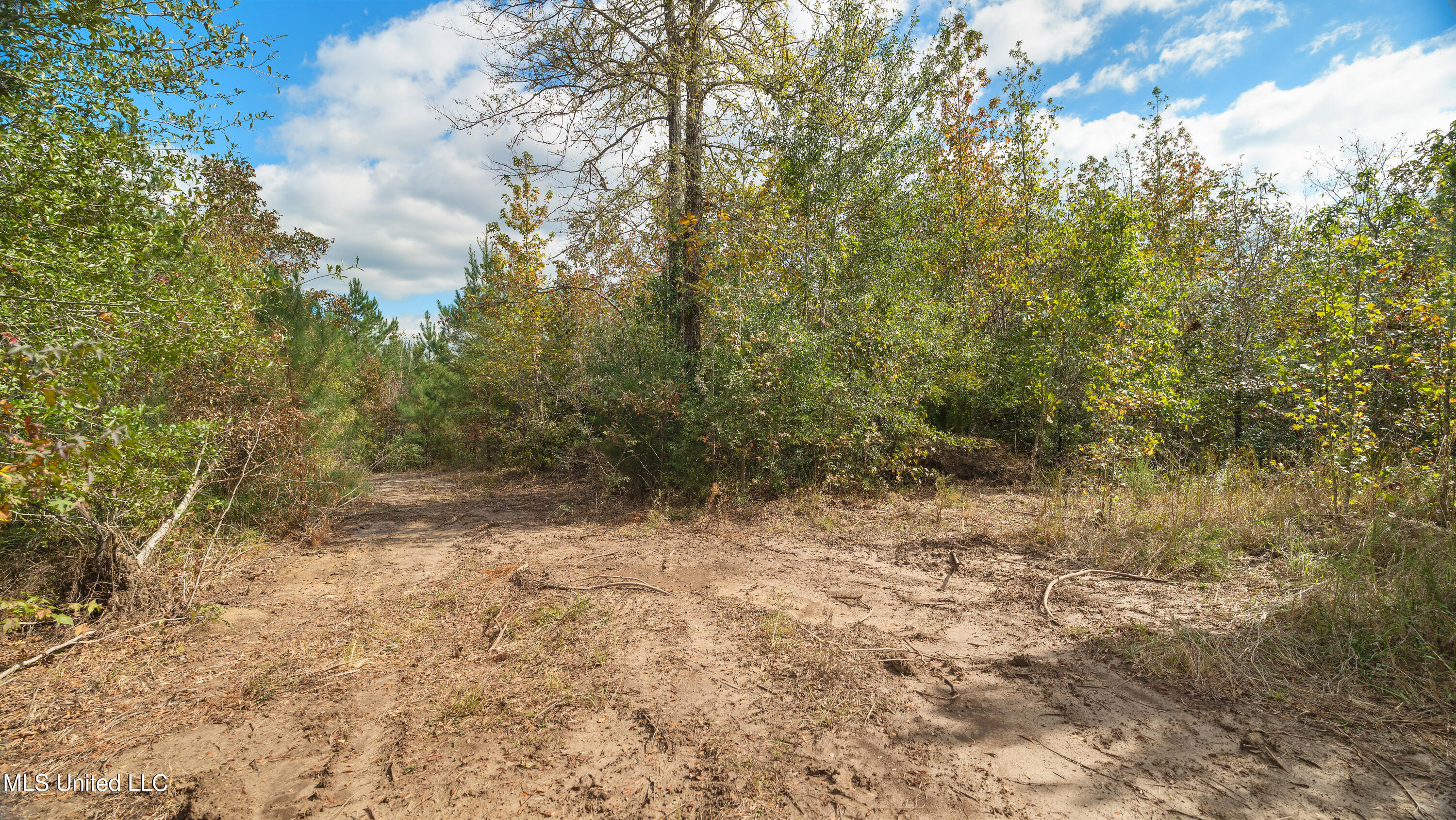 222 Byrd Road Property Photo 18