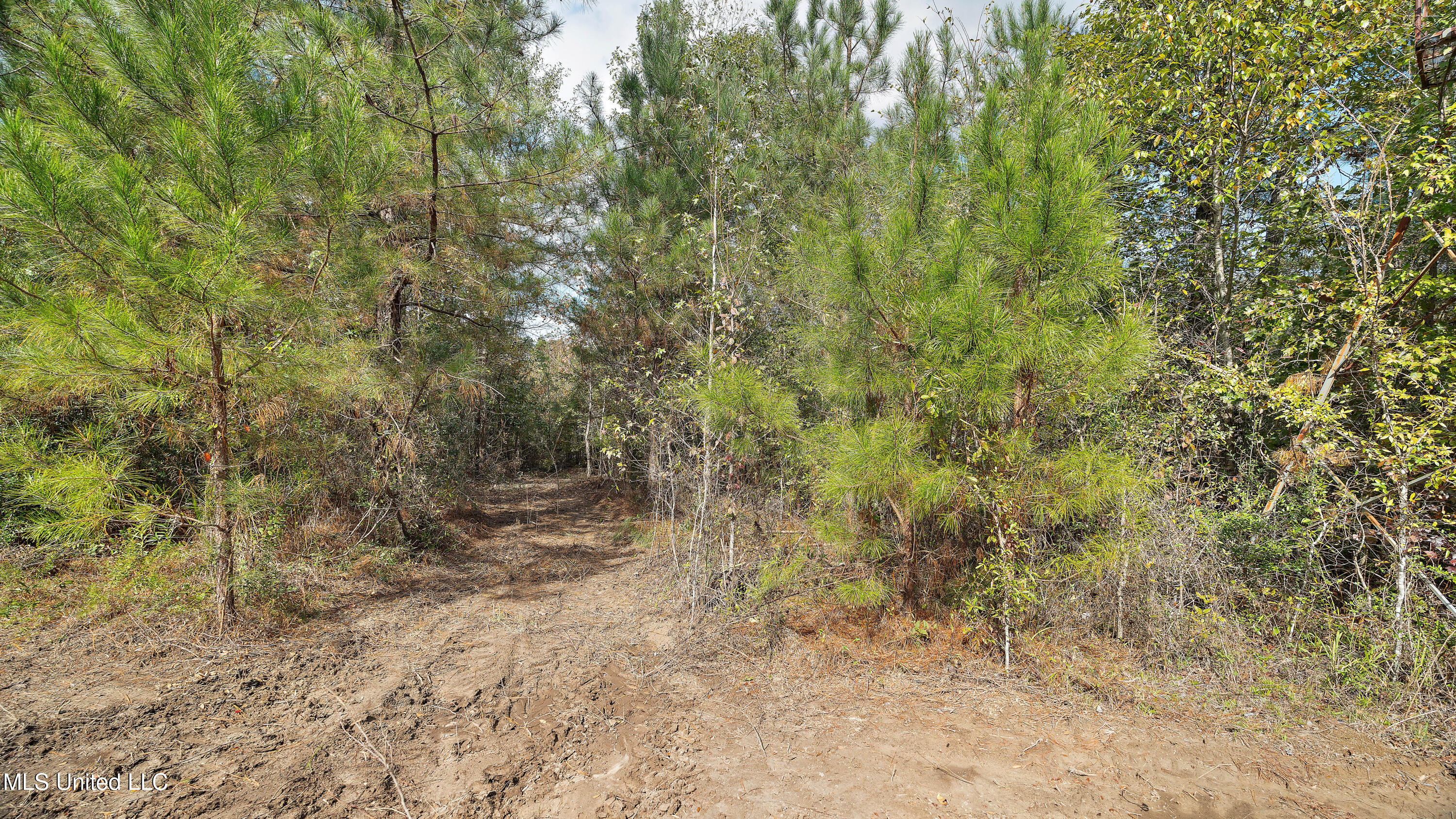 222 Byrd Road Property Photo 19
