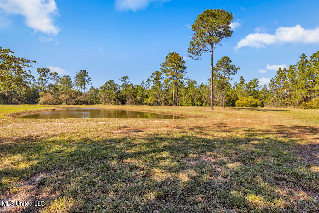 5084 Firetower Road Property Photo 21
