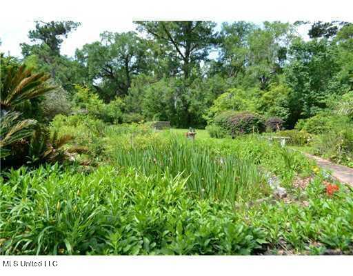 6502 Woodwards Bluff Property Photo 4
