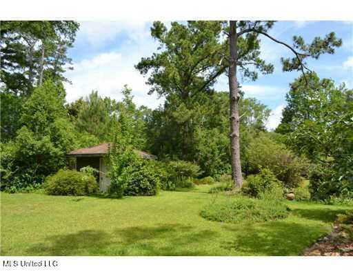 6502 Woodwards Bluff Property Photo 16