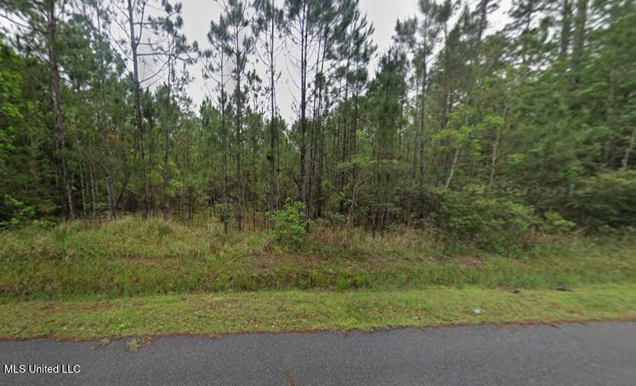 7268 Walthall Street Property Photo 1