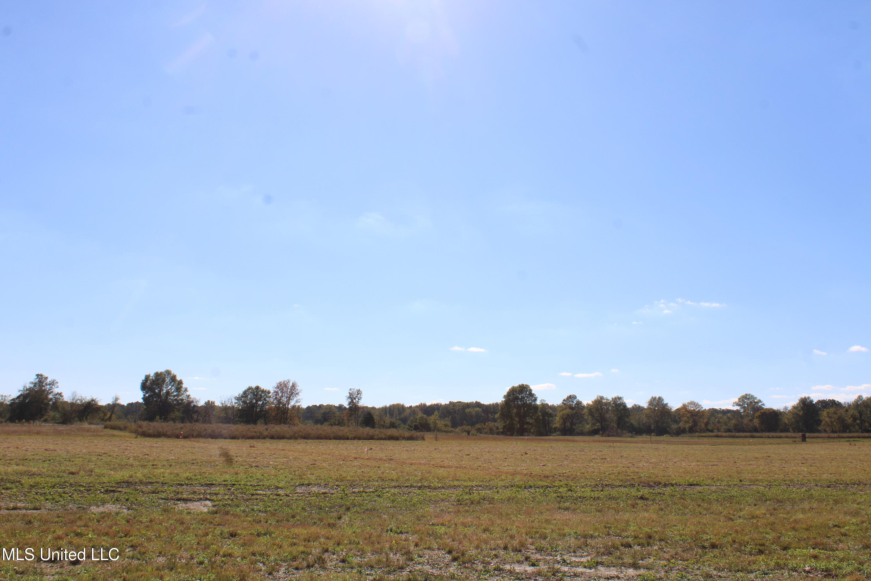 32 Pin Oak Road Property Photo 3
