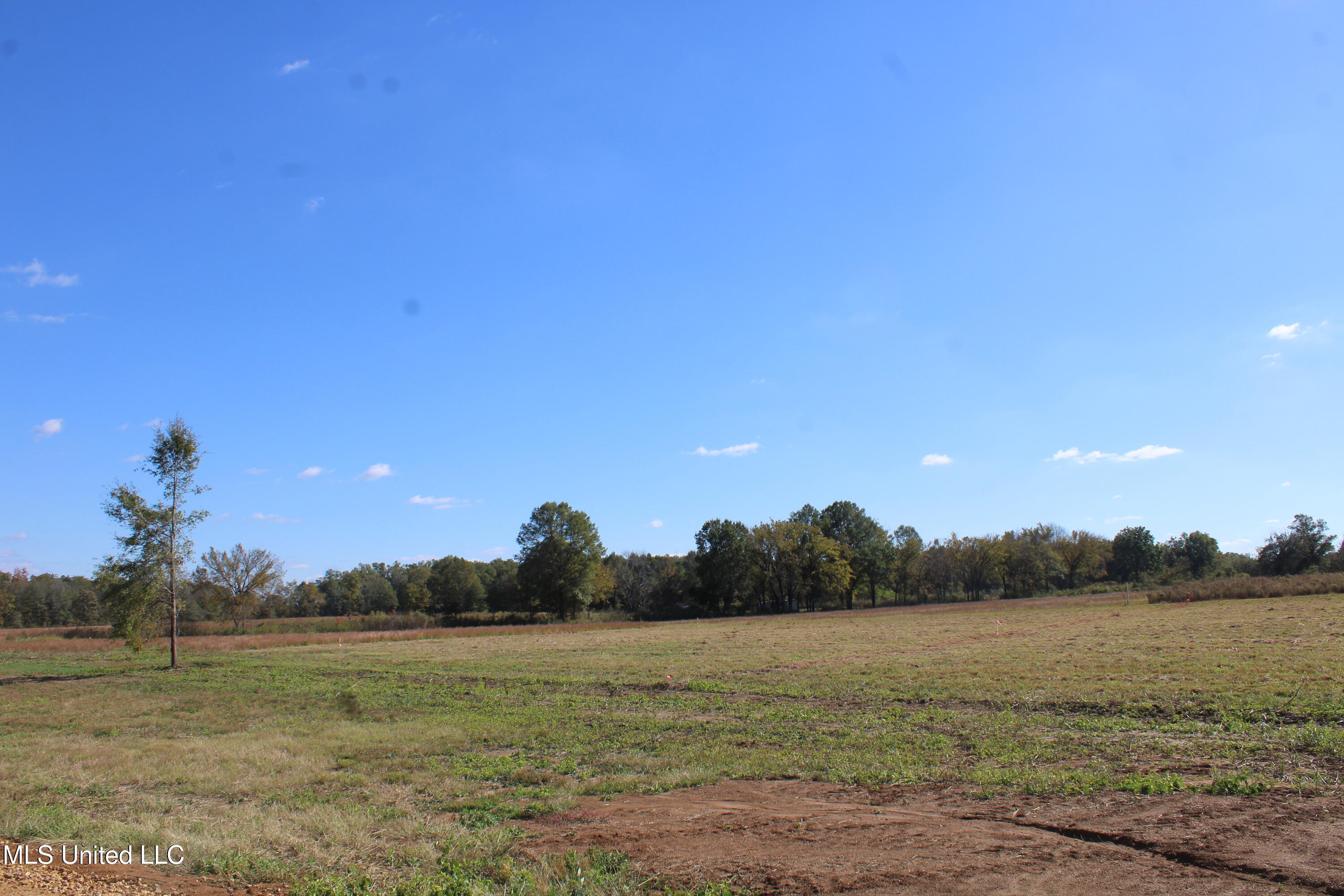 32 Pin Oak Road Property Photo 4