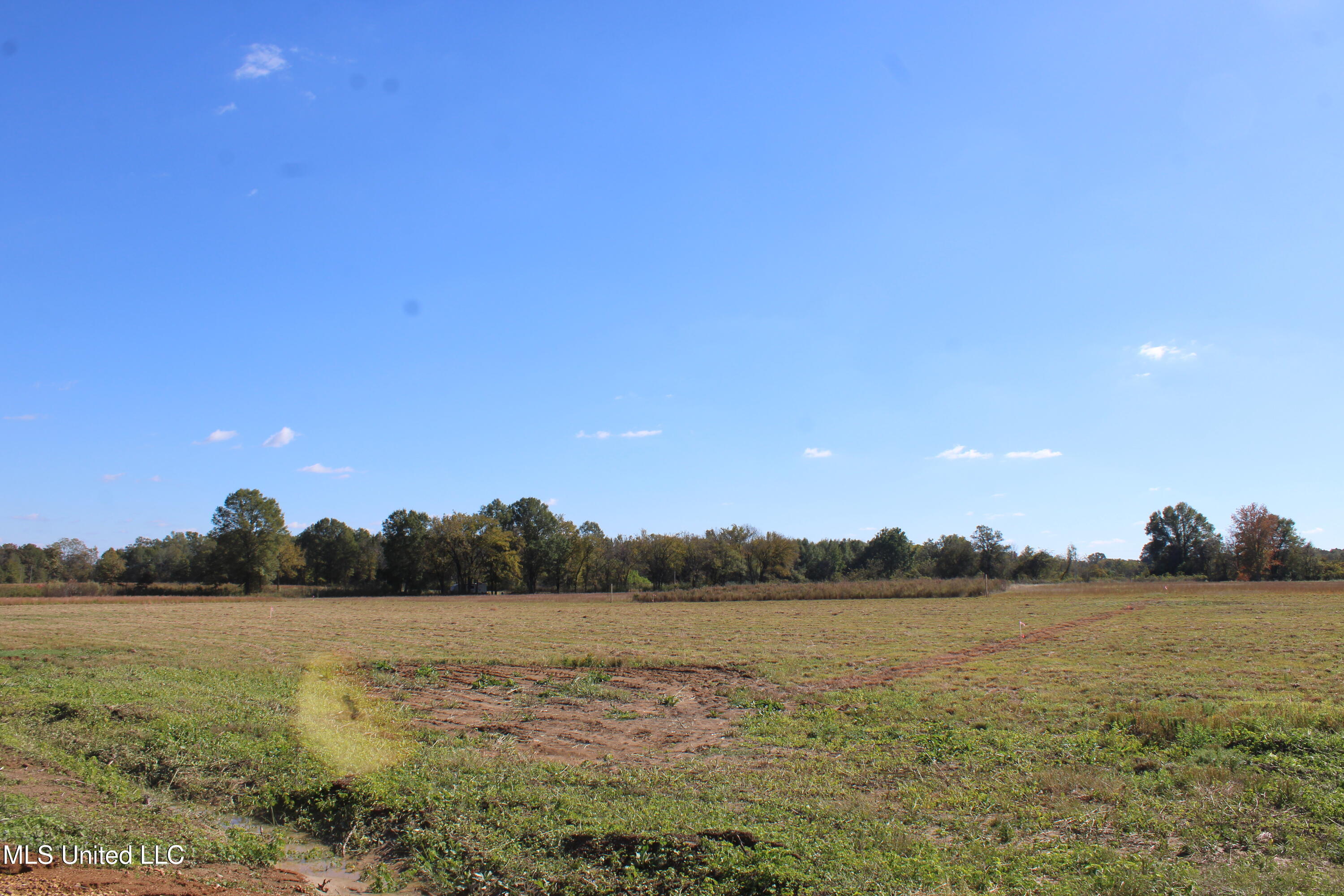 32 Pin Oak Road Property Photo 5