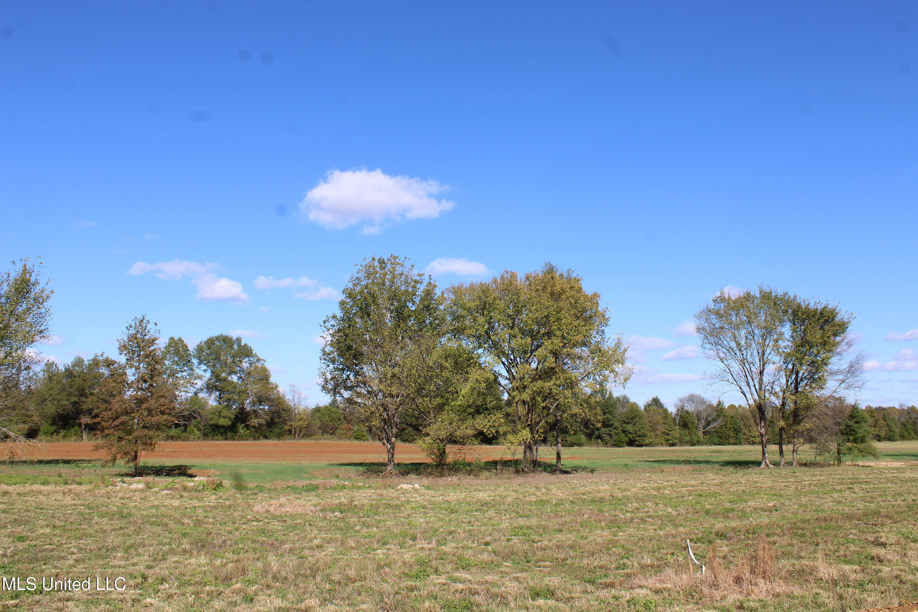 32 Pin Oak Road Property Photo 14