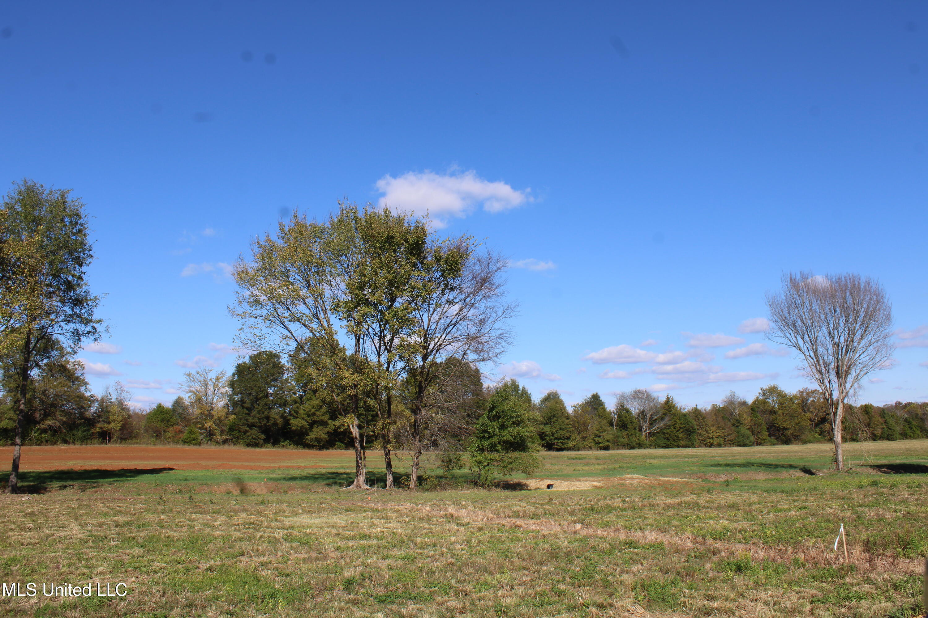 32 Pin Oak Road Property Photo 16
