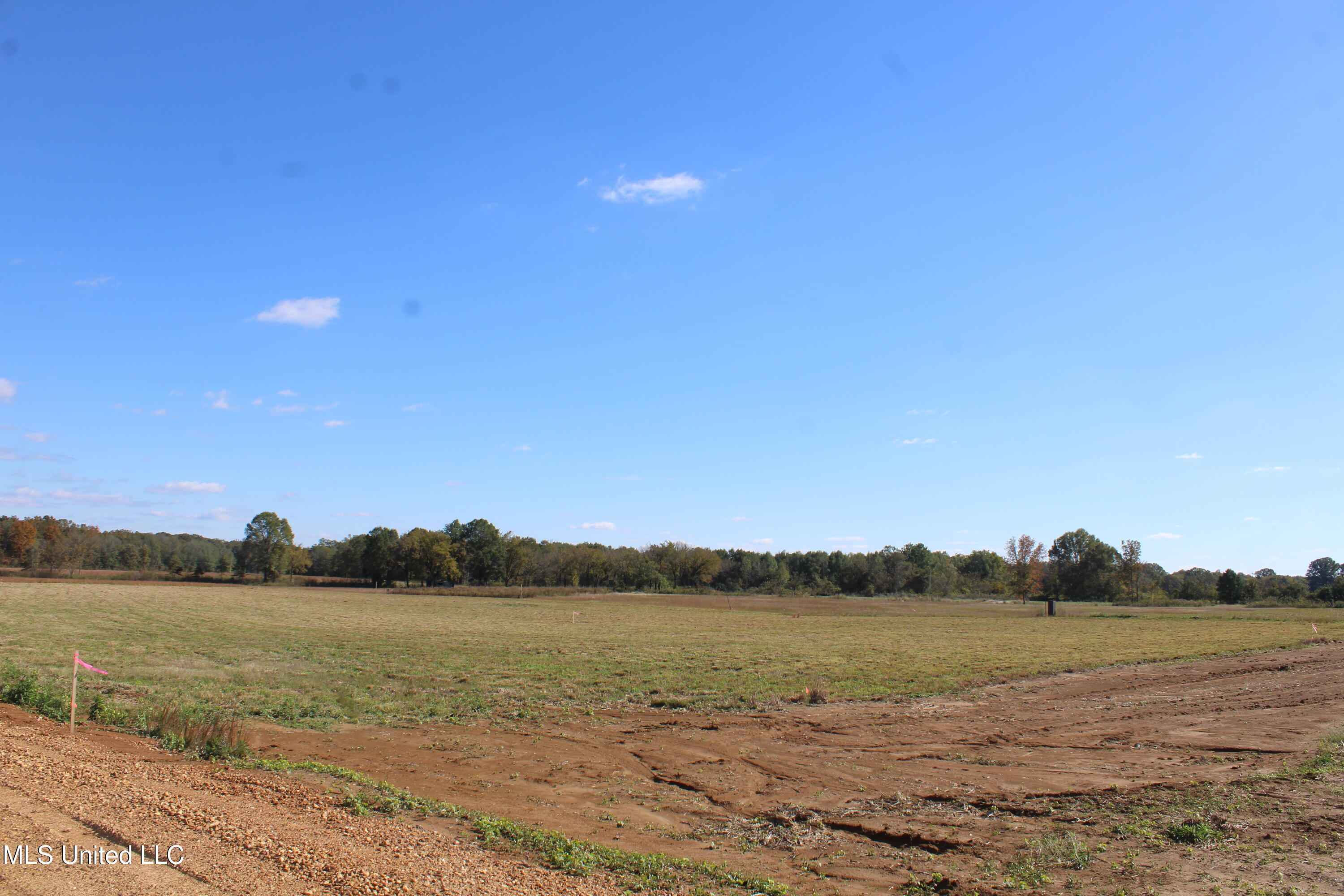 37 Pin Oak Road Property Photo 9