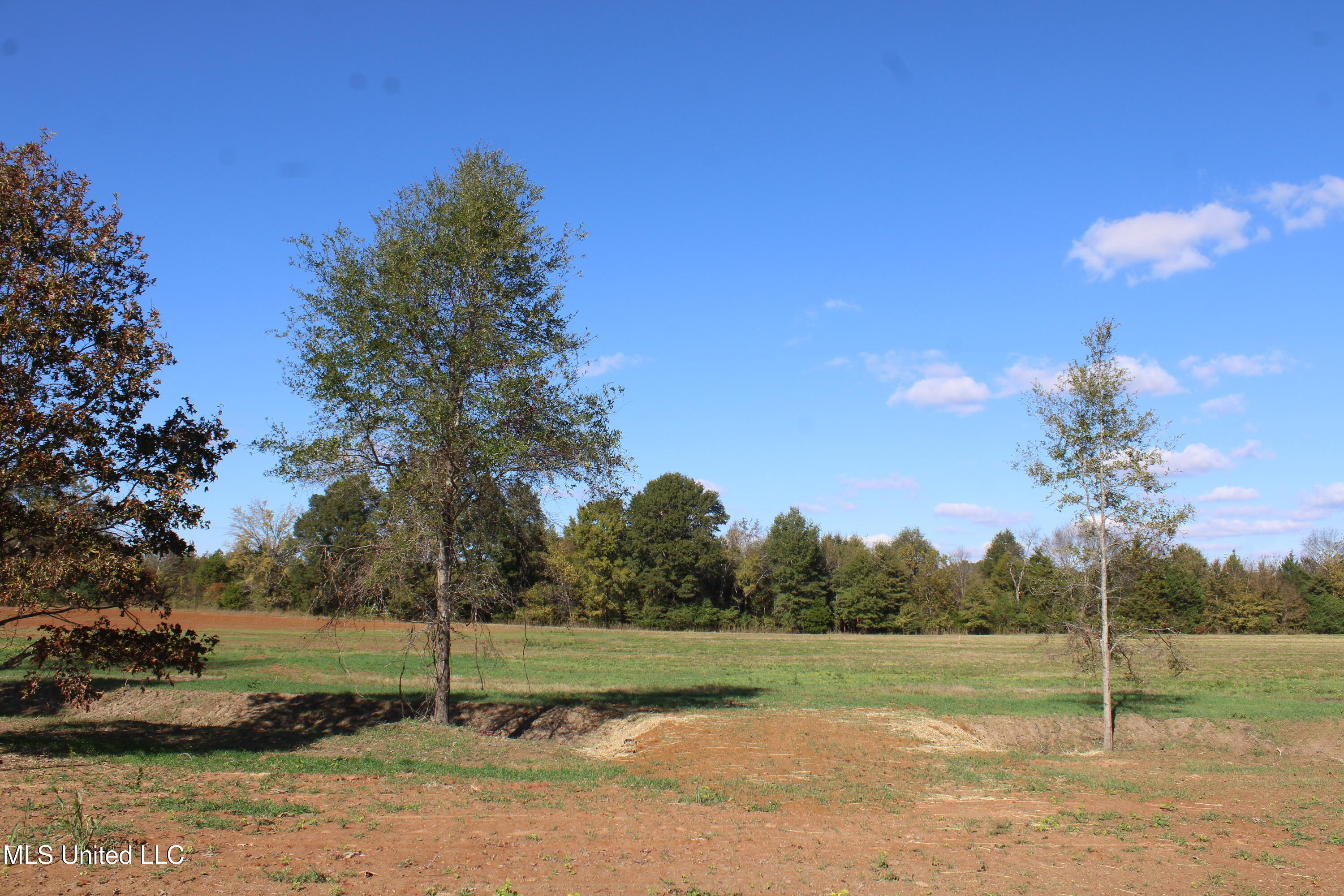 37 Pin Oak Road Property Photo 17