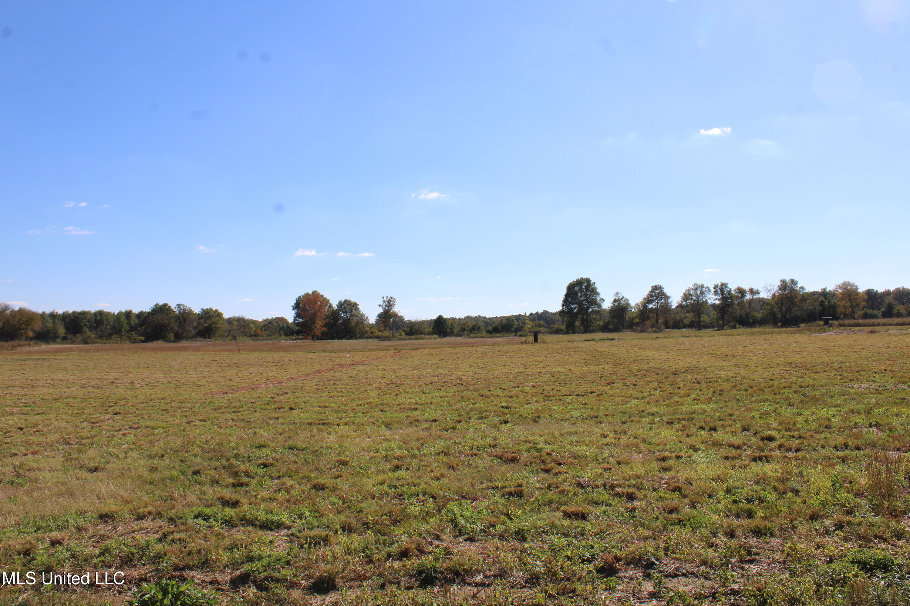 38 Pin Oak Road Property Photo 6