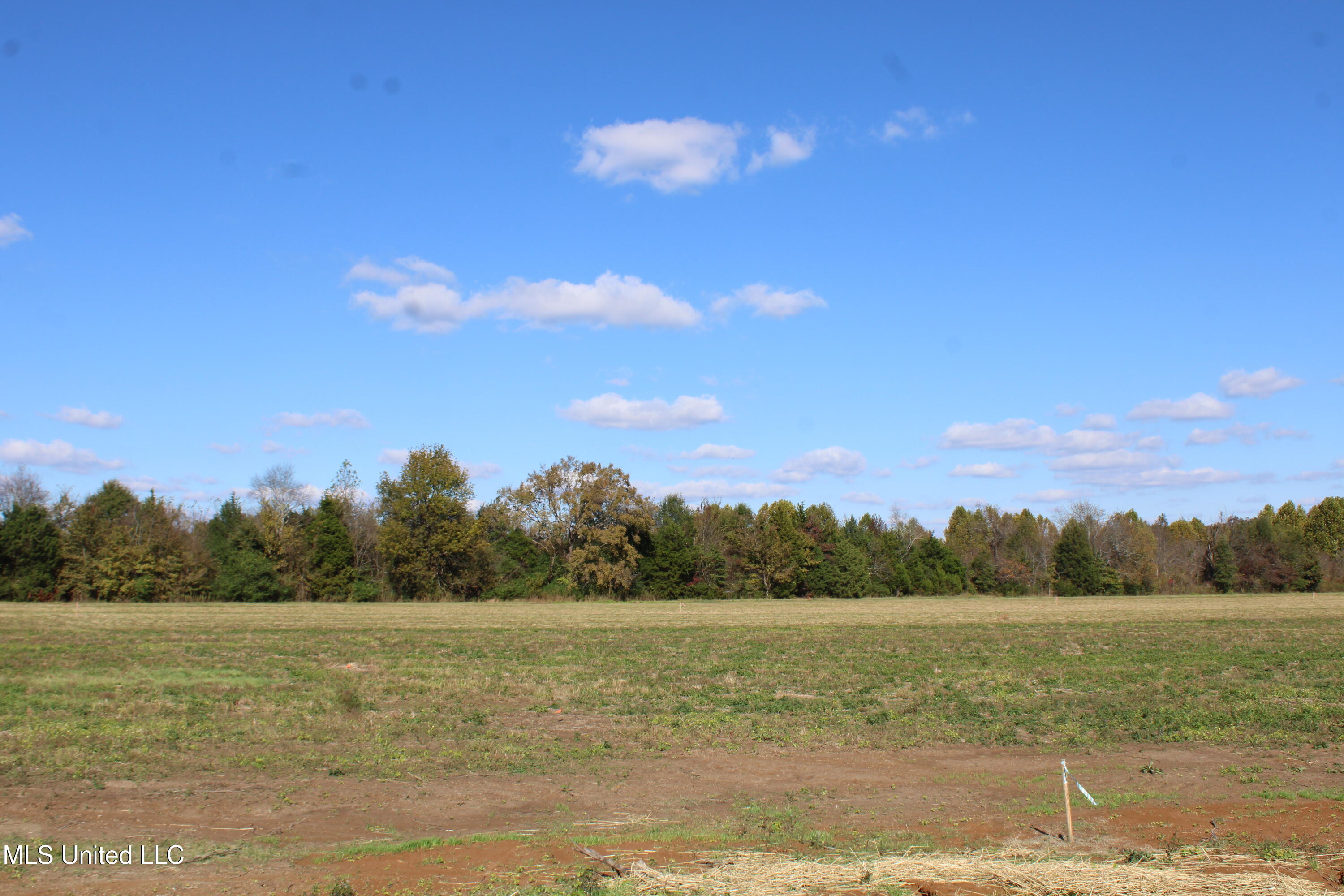 38 Pin Oak Road Property Photo 19