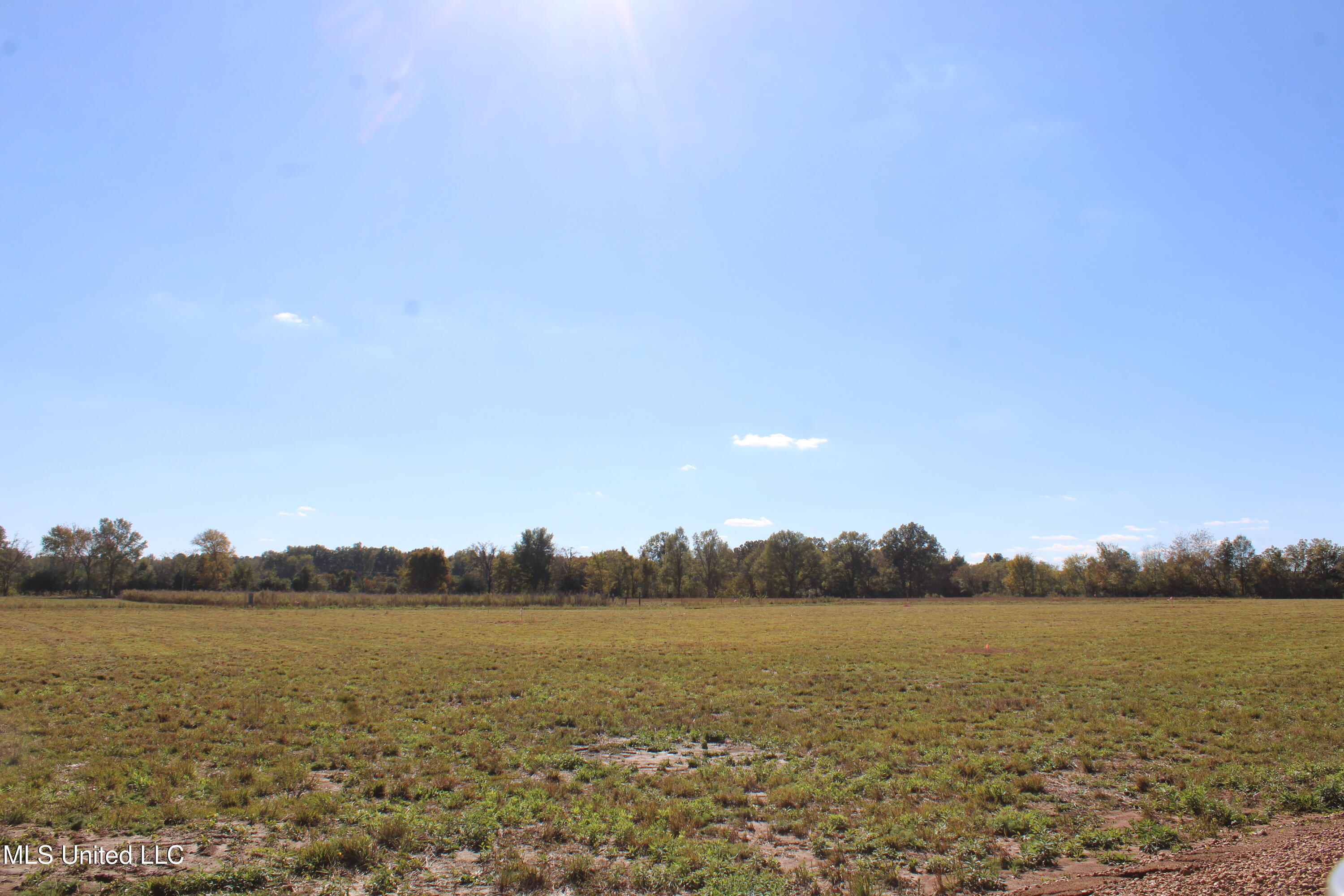 39 Pin Oak Road Property Photo 8