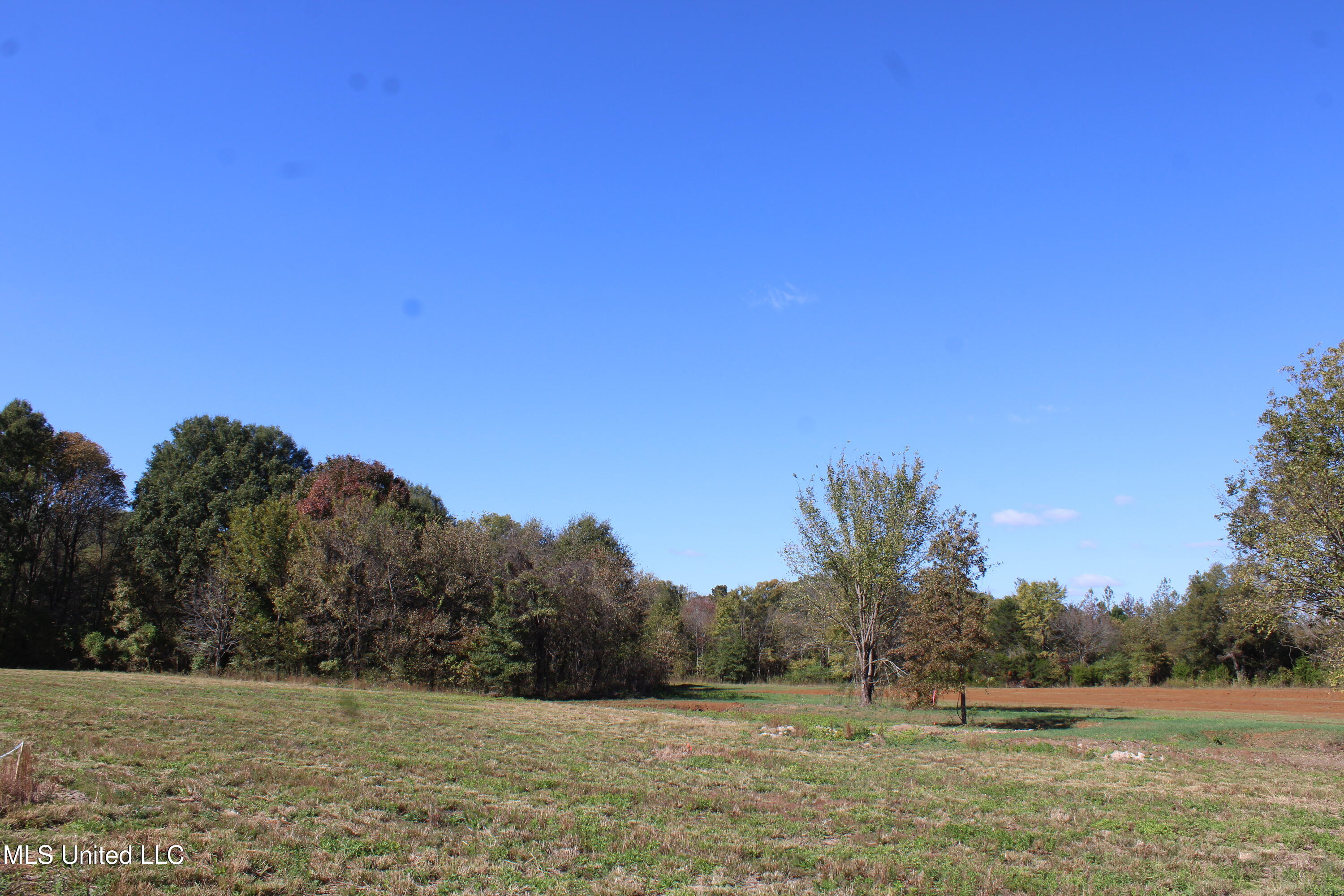 39 Pin Oak Road Property Photo 15