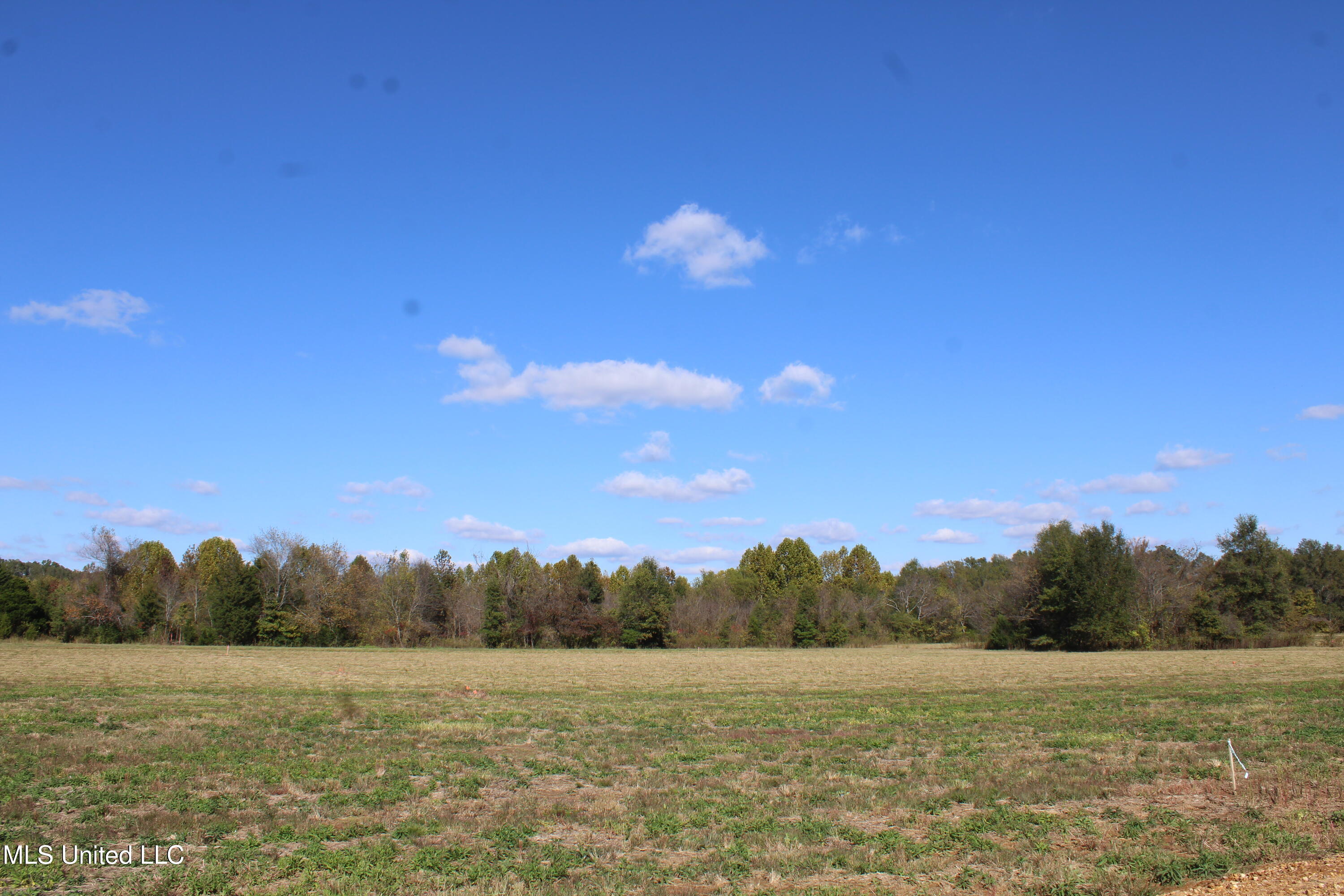39 Pin Oak Road Property Photo 21