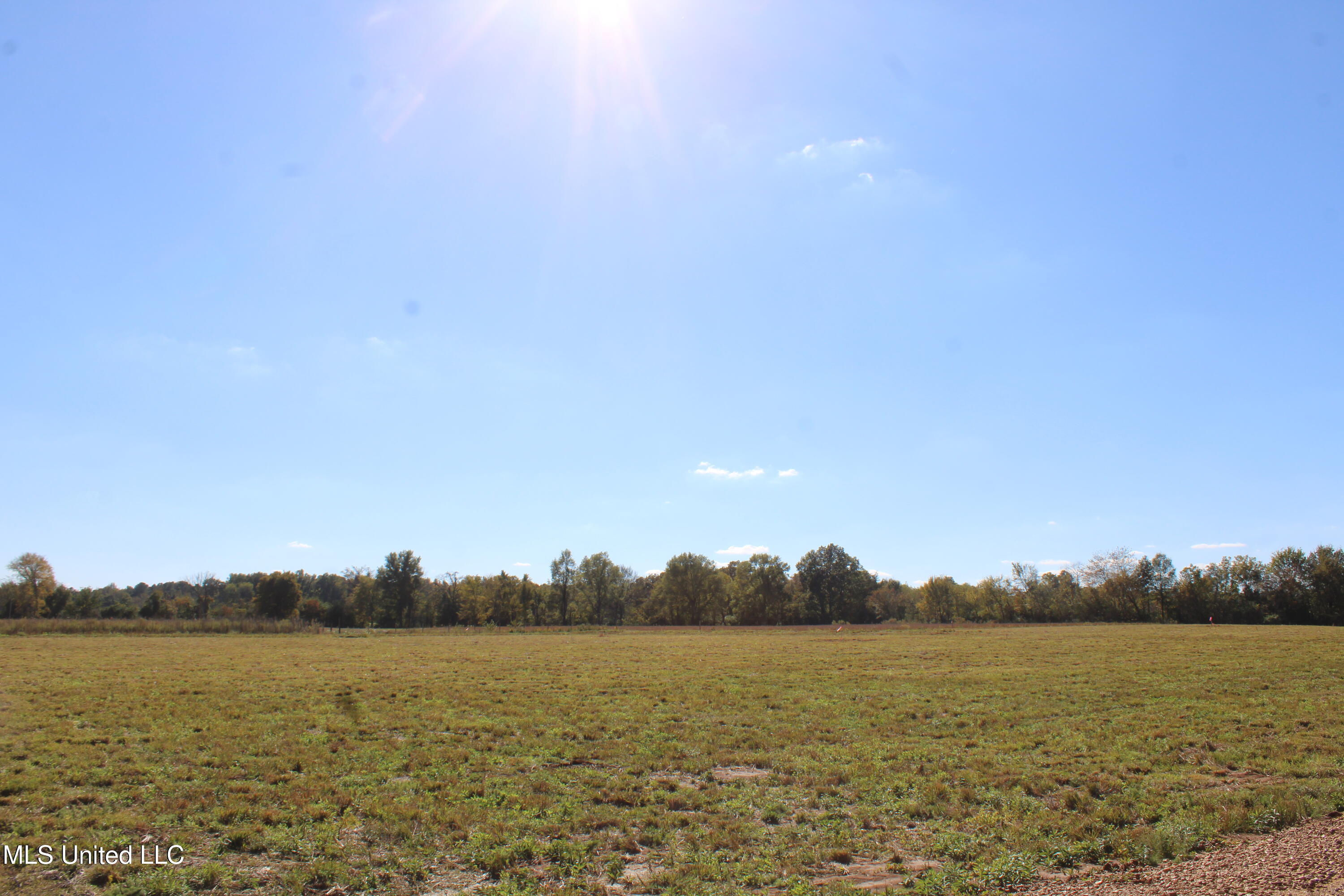 41 Pin Oak Road Property Photo 10