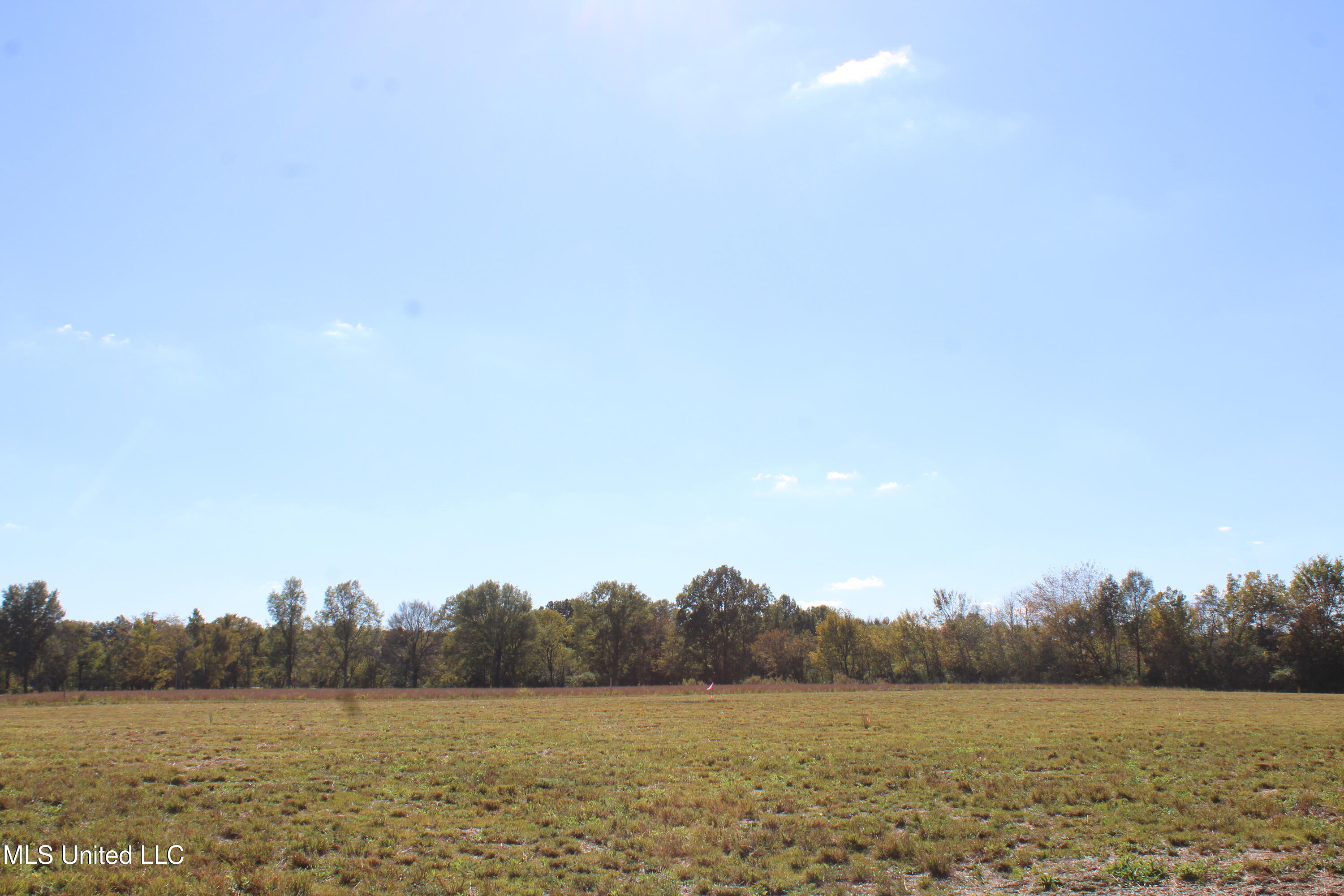 45 Pin Oak Road Property Photo 11