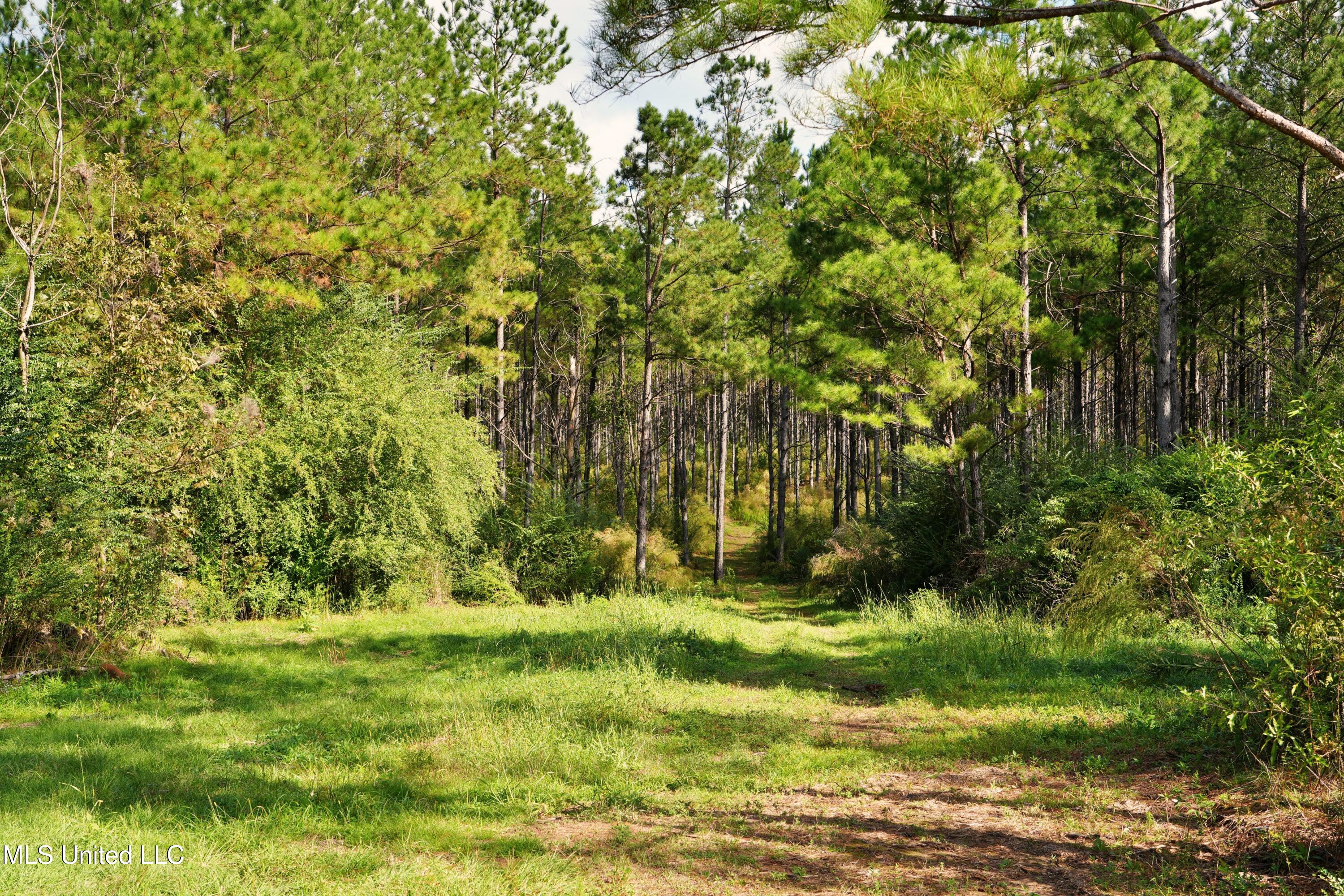 2093 Mallalieu Dr Se Property Photo 13