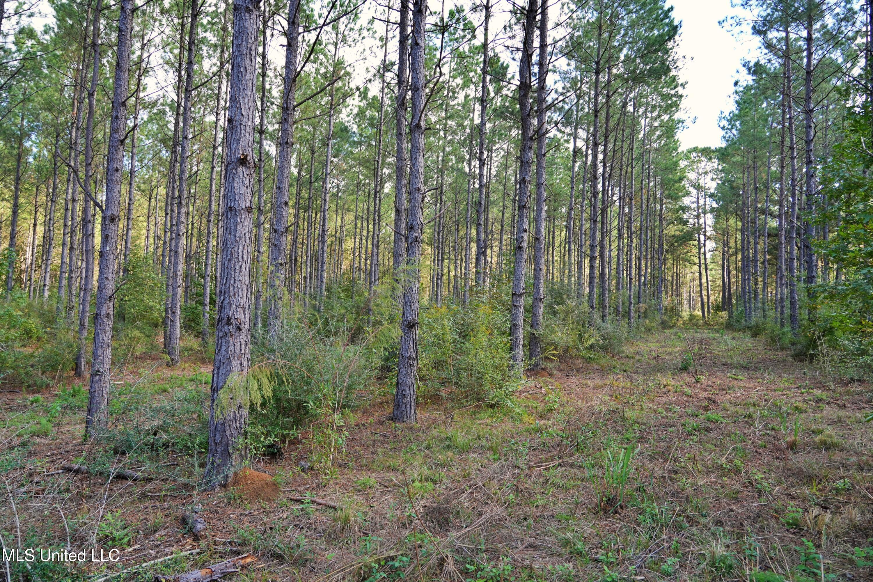 2093 Mallalieu Dr Se Property Photo 16