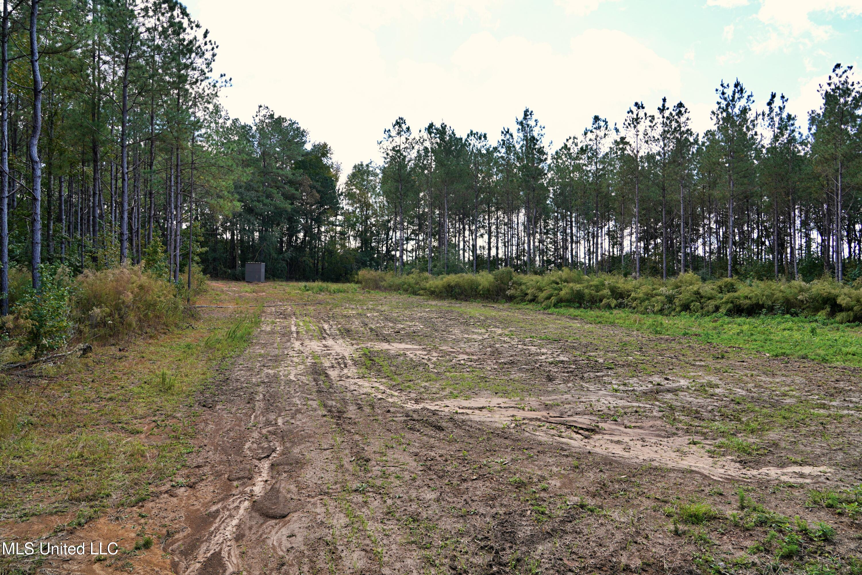 2093 Mallalieu Dr Se Property Photo 21