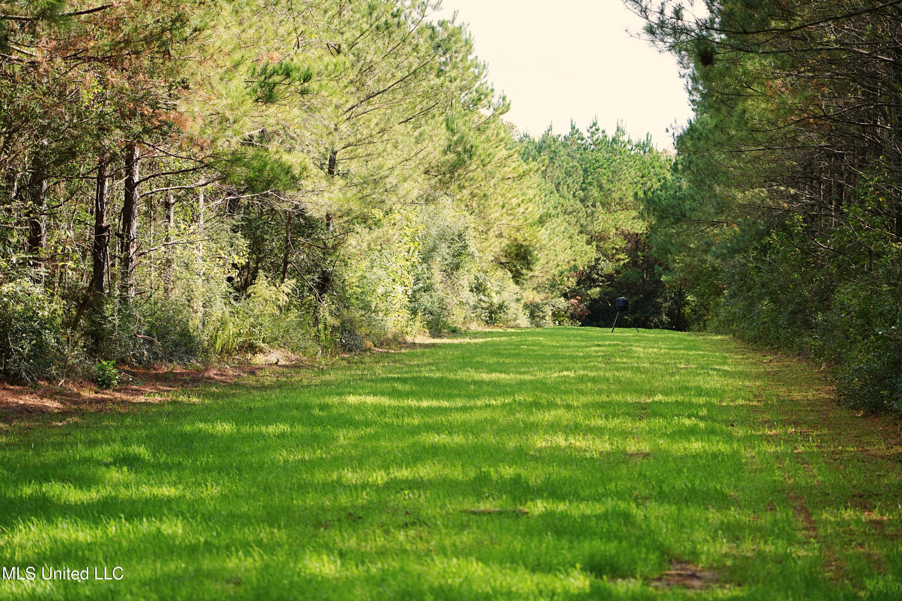 2093 Mallalieu Dr Se Property Photo 25