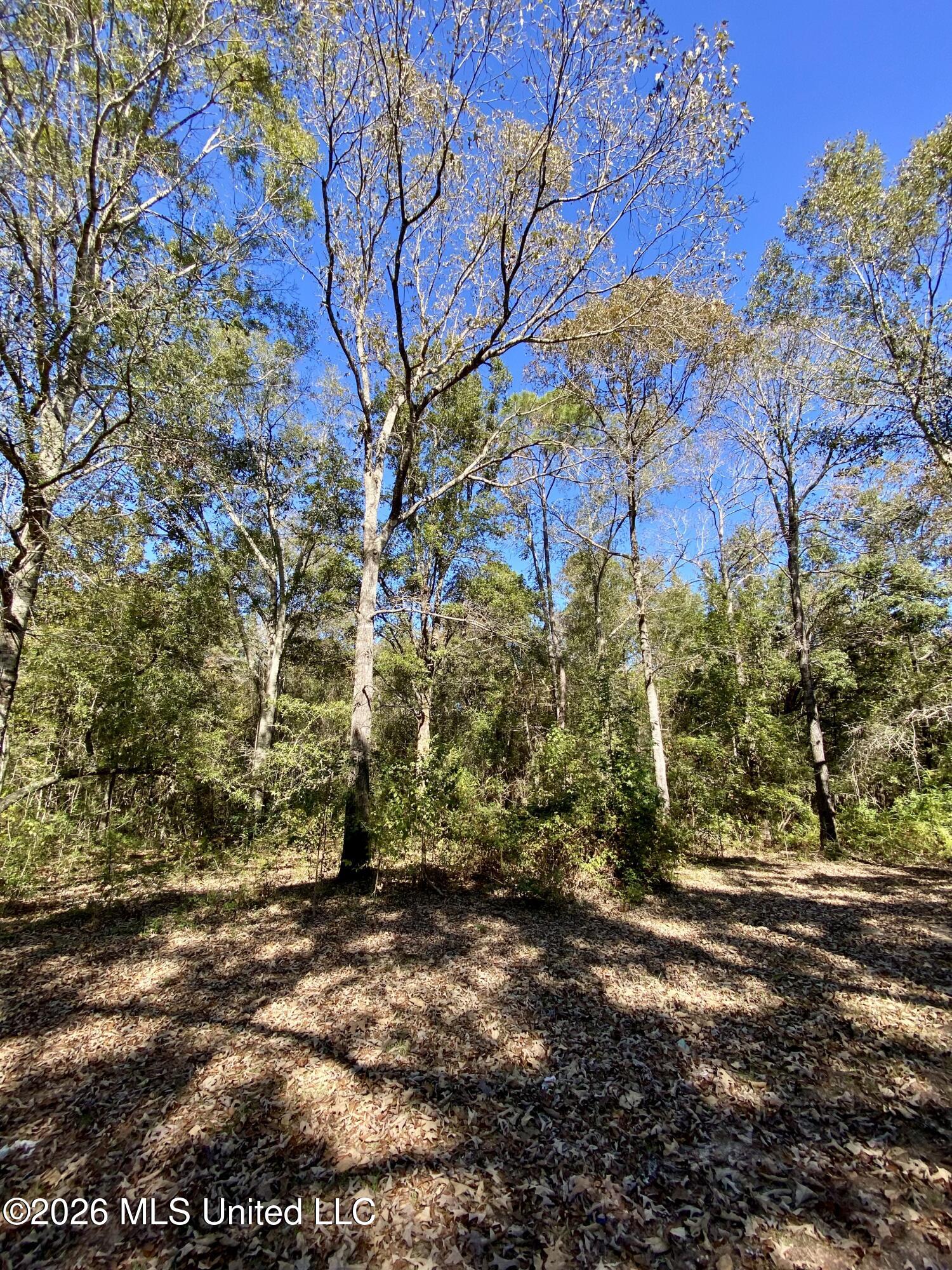 131 Monk Mitchell Road Property Photo 33