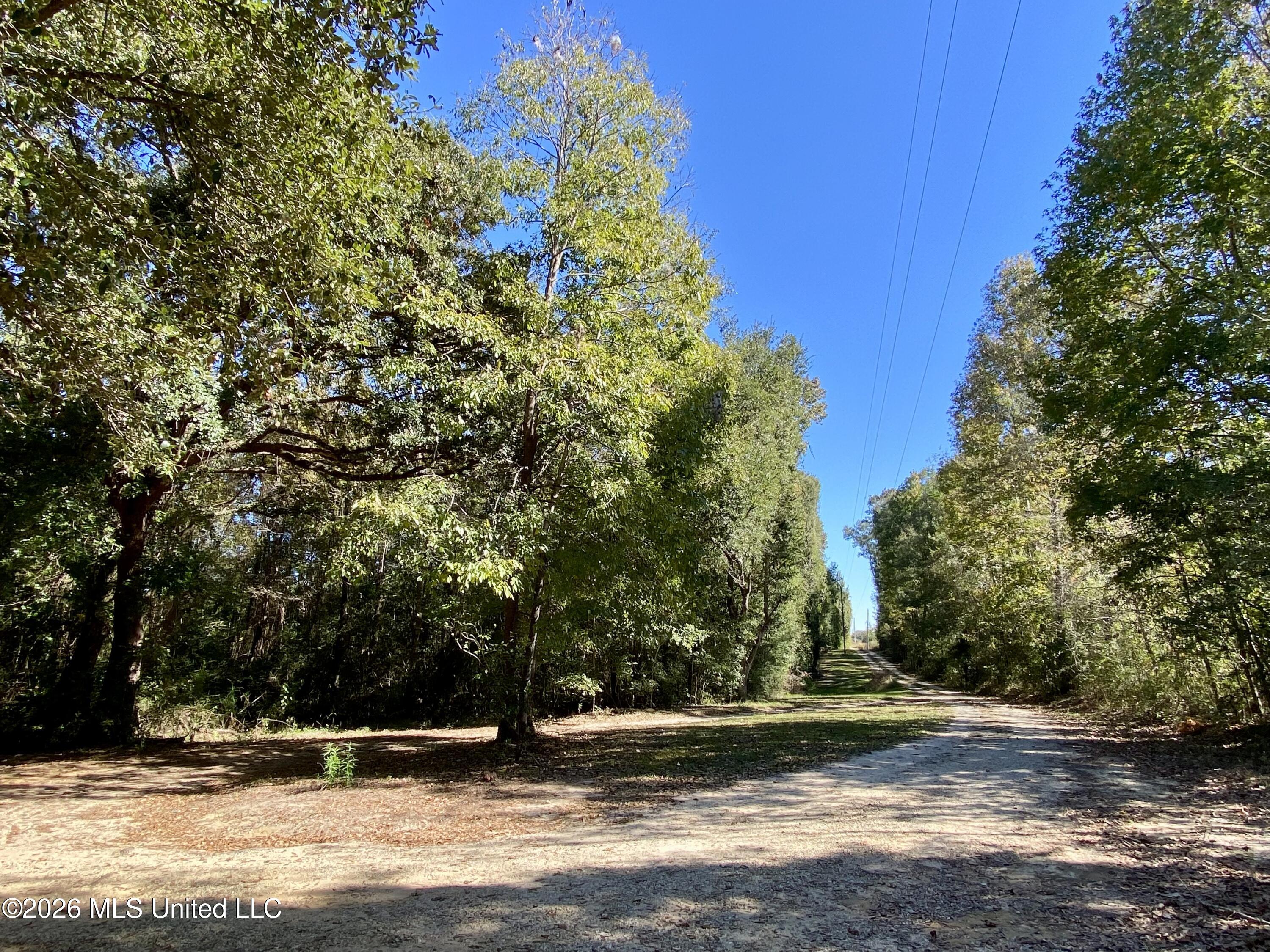 131 Monk Mitchell Road Property Photo 35
