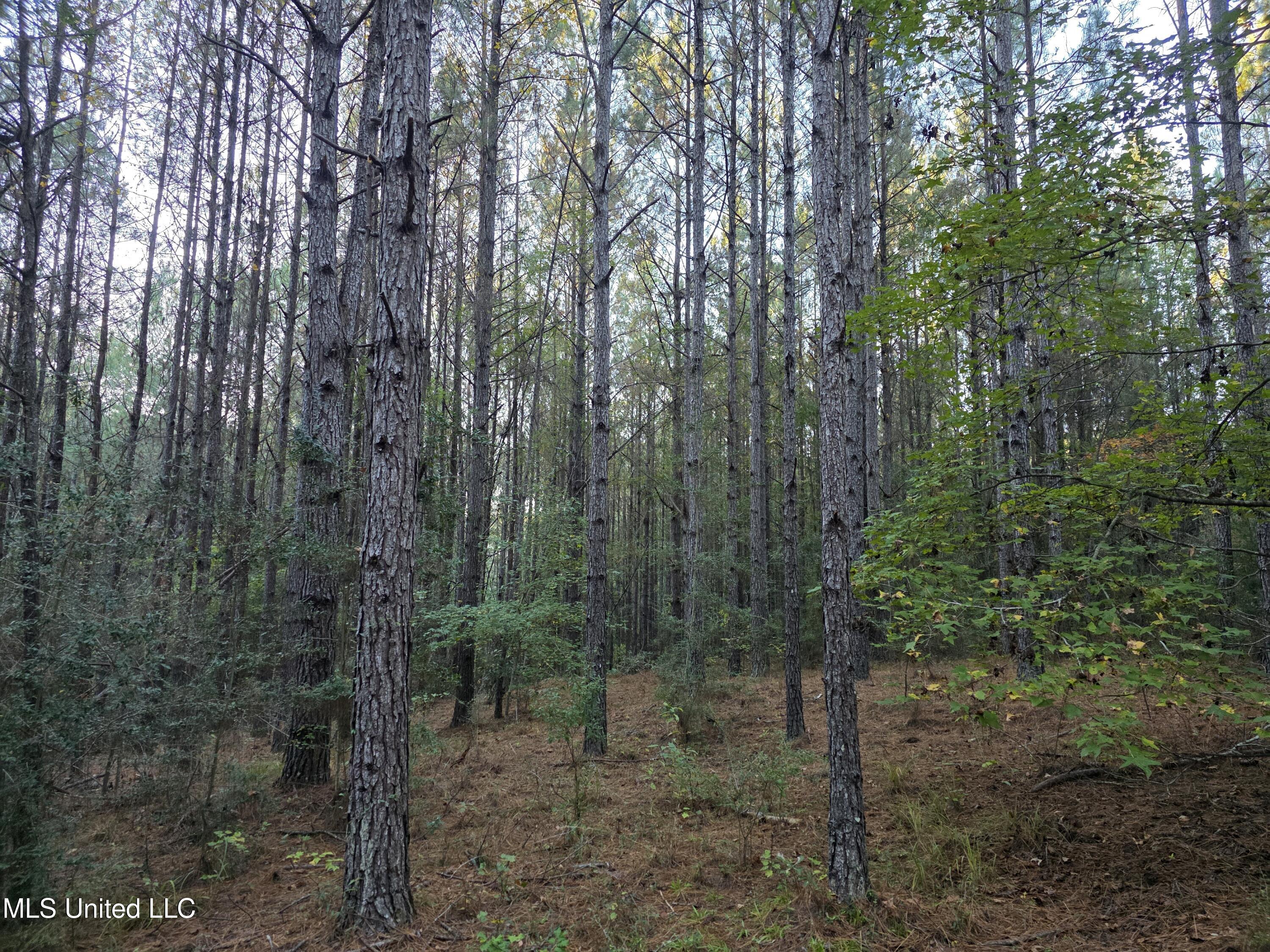 County Rd 77 Property Photo 1