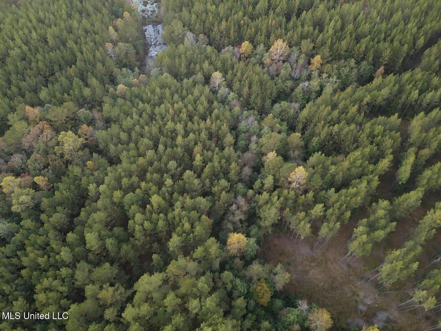 County Rd 77 Property Photo 6