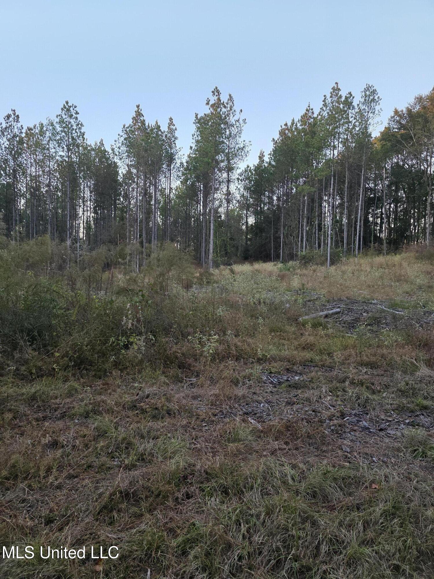 County Rd 77 Property Photo 7